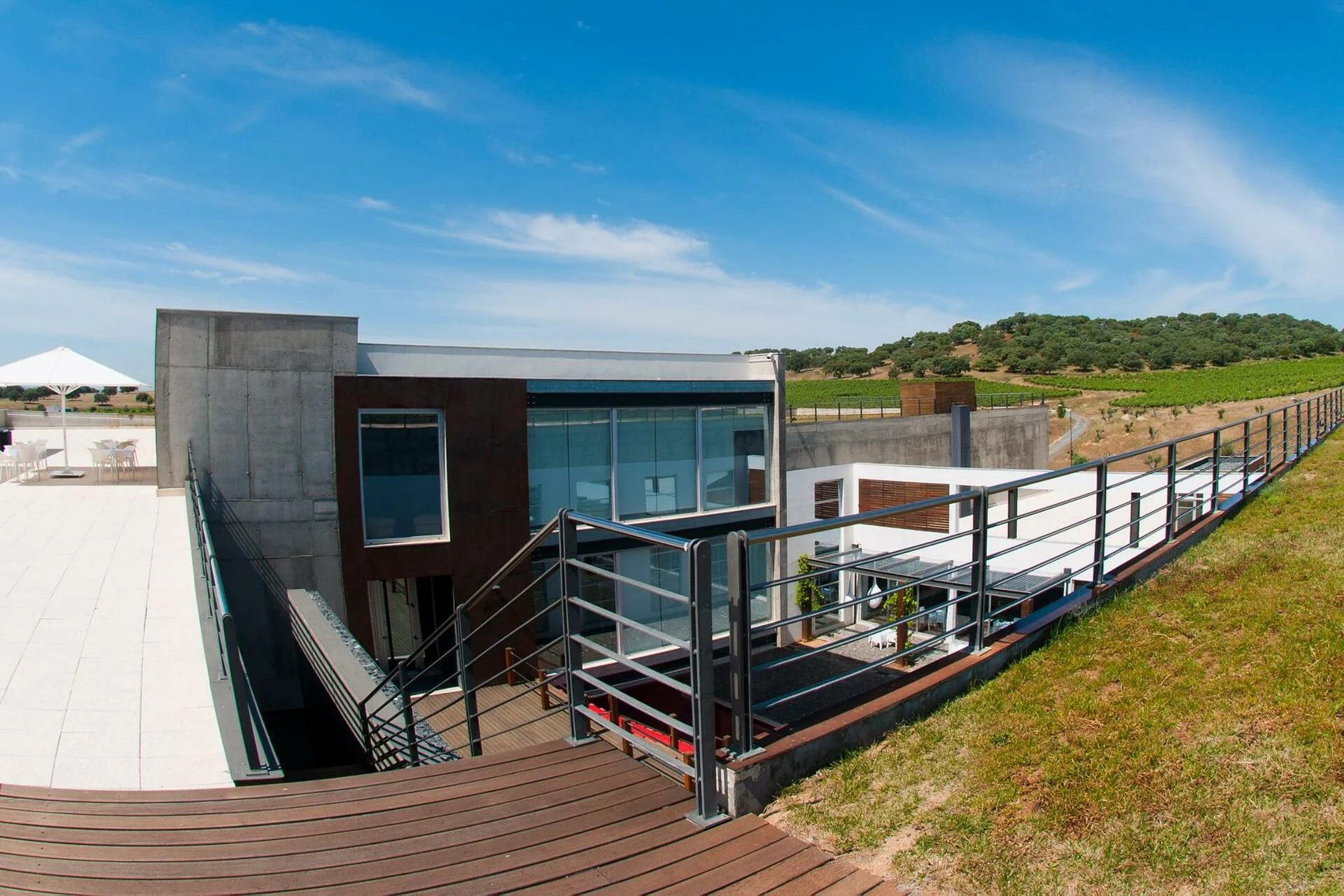 Herdade do Rocim – Visita & Prova Olho de Mocho