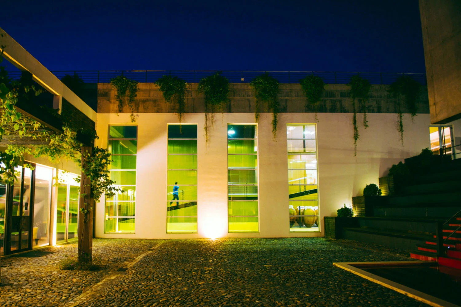 Herdade do Rocim – Visita & Prova Olho de Mocho