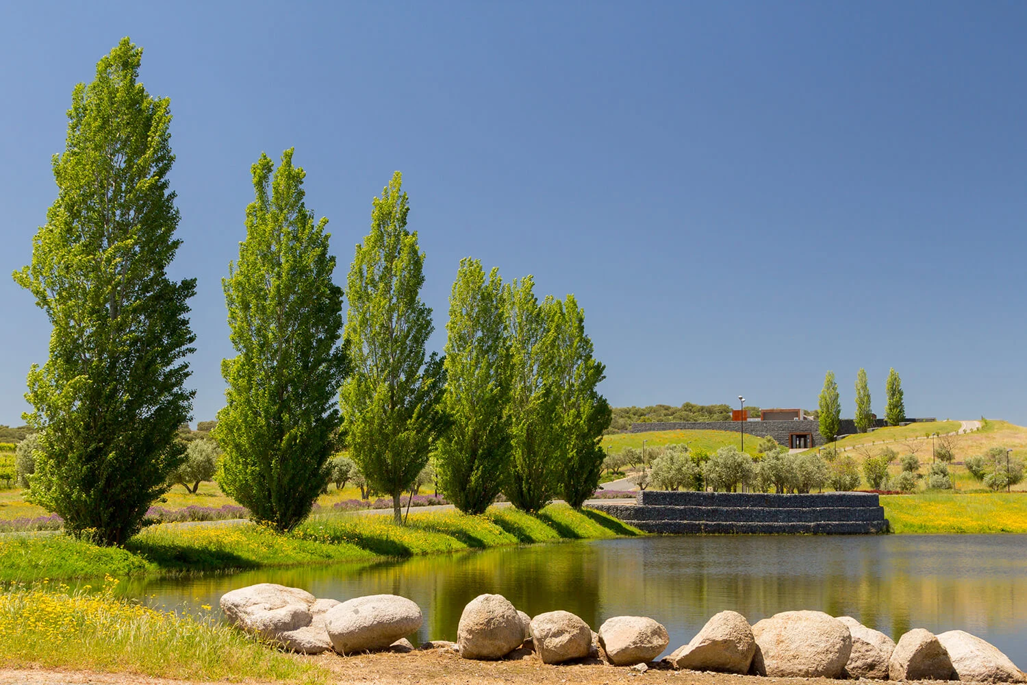 Herdade do Rocim – Visita & Prova Rocim