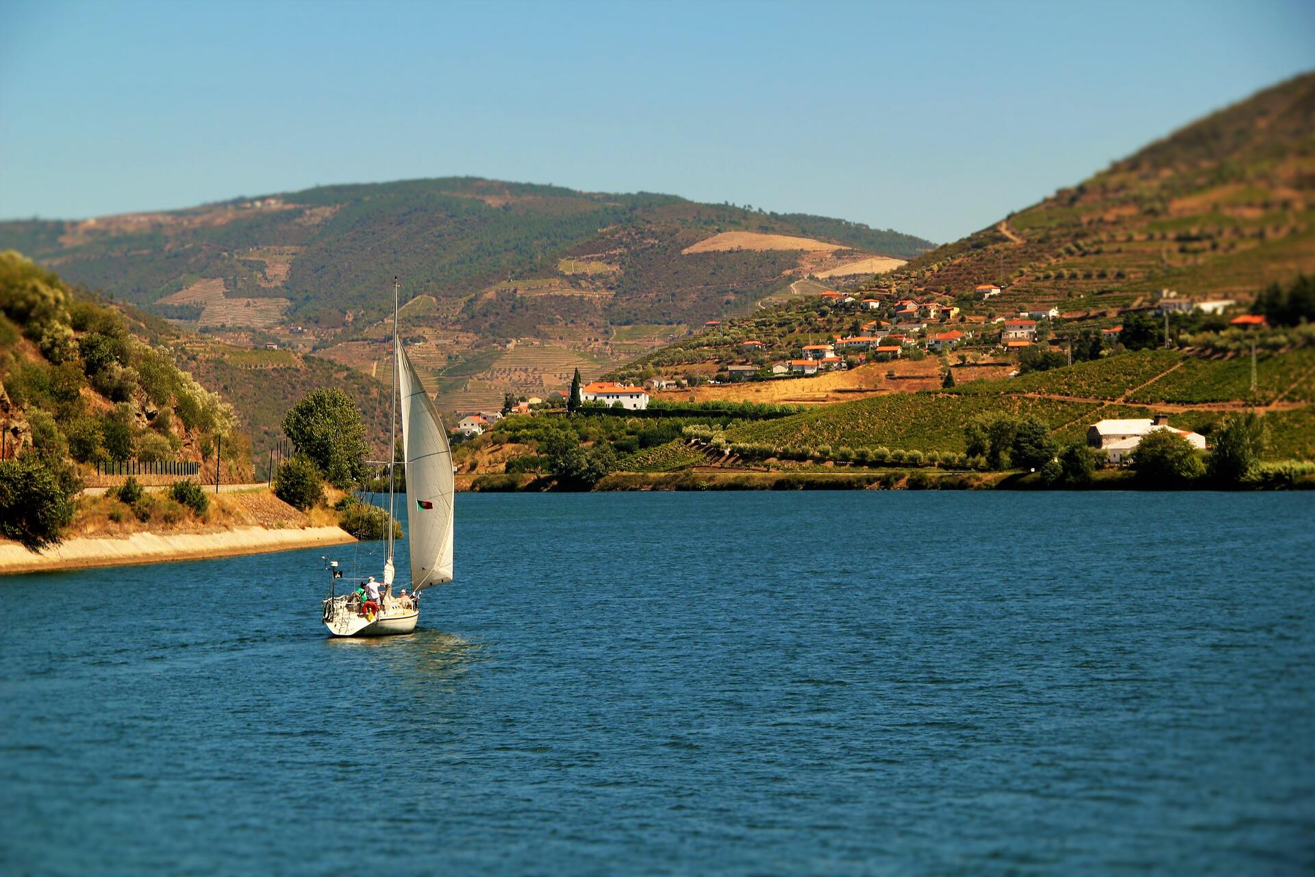 Cruzeiro & Vinhos no Vale do Douro
