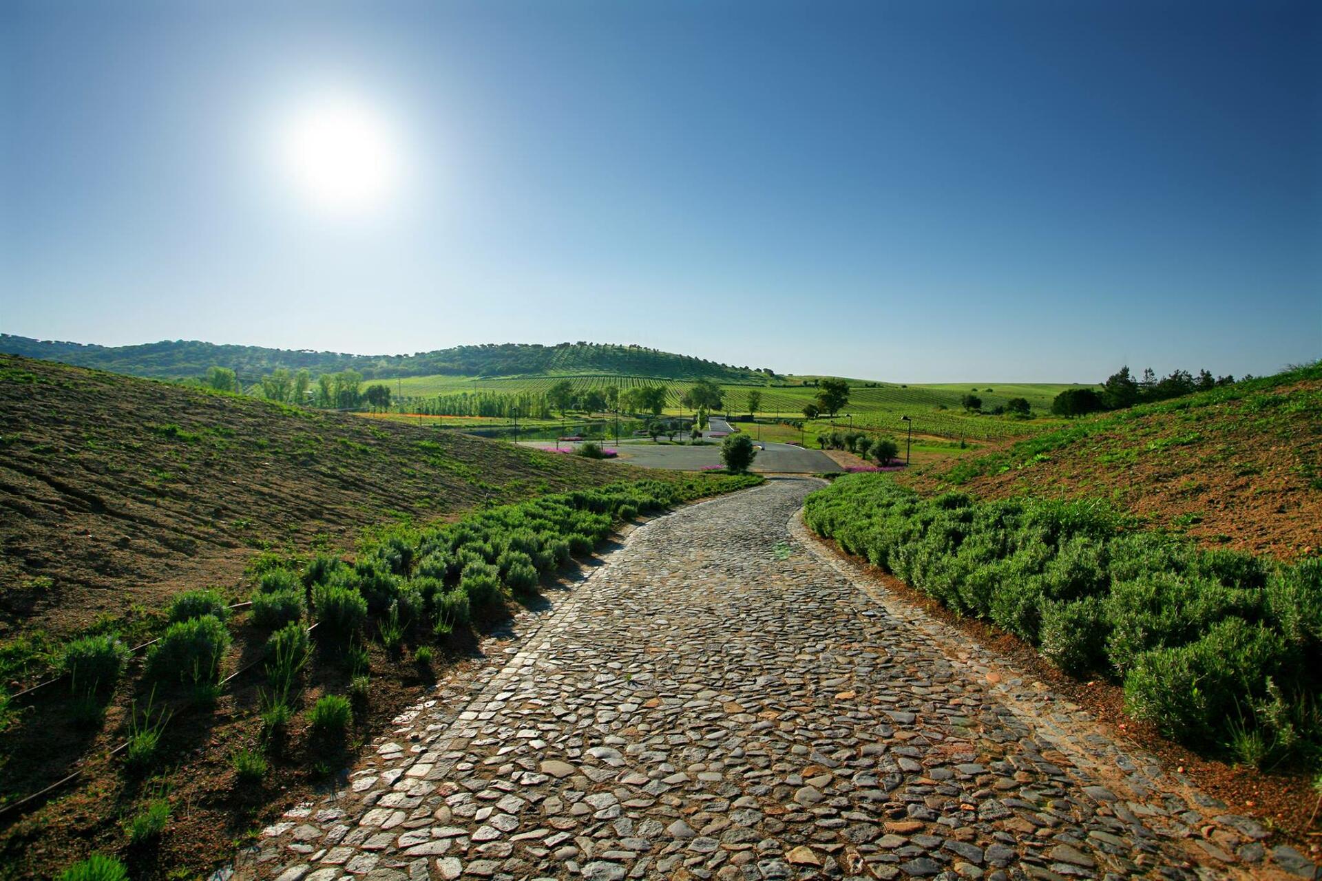 Herdade do Rocim – Prova Seleção ALDD