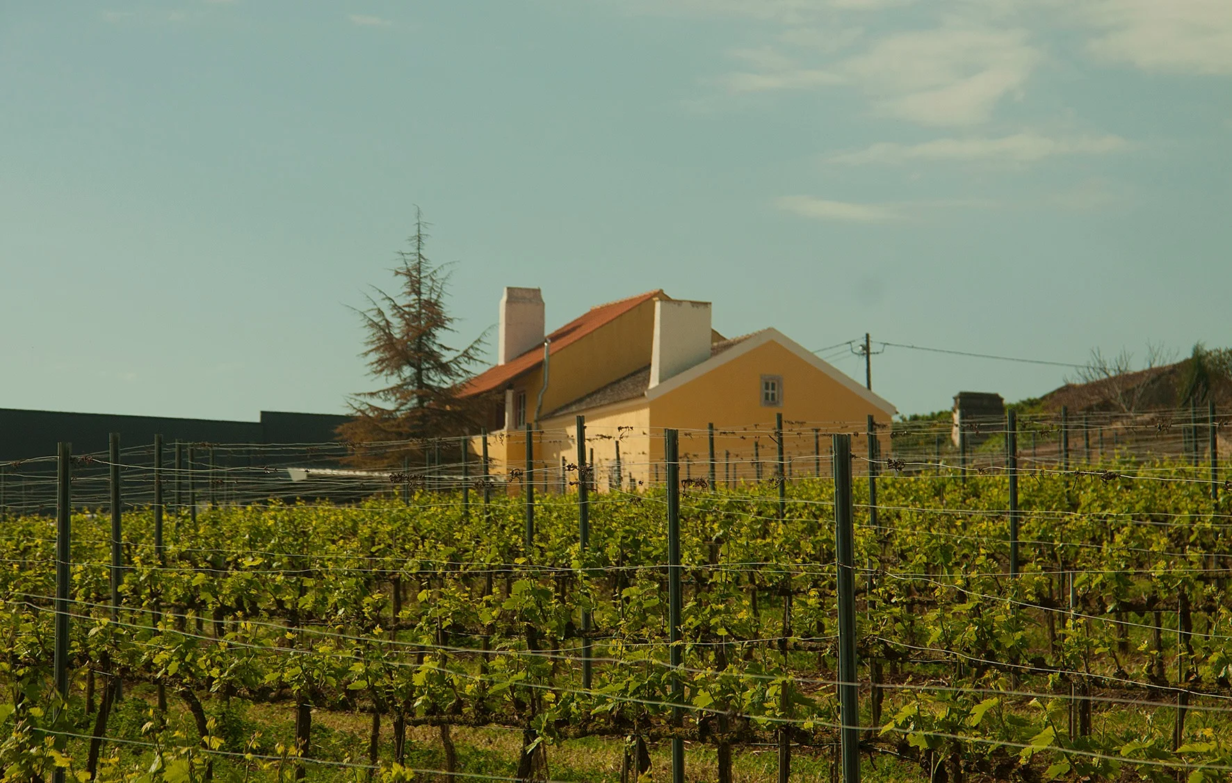 Quinta dos Capuchos – Tour MonteCapucho