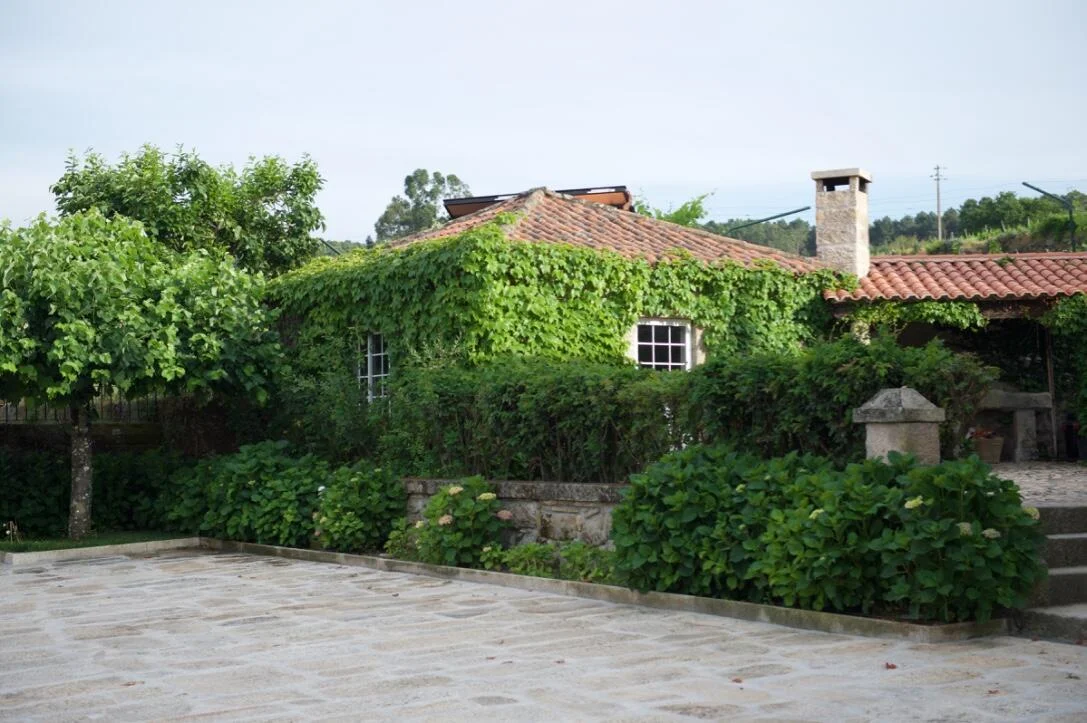 Soito Wines – Visita & Prova Premium