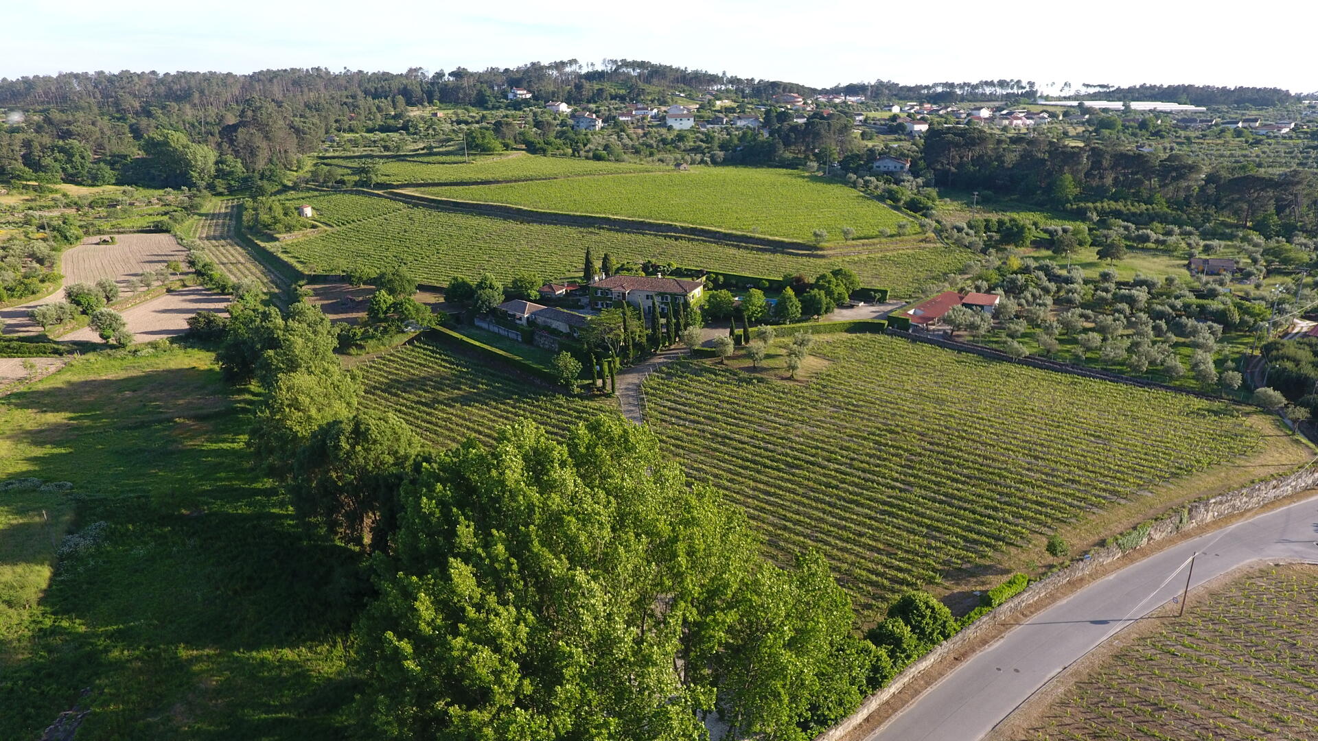 Soito Wines – Visita & Prova Premium