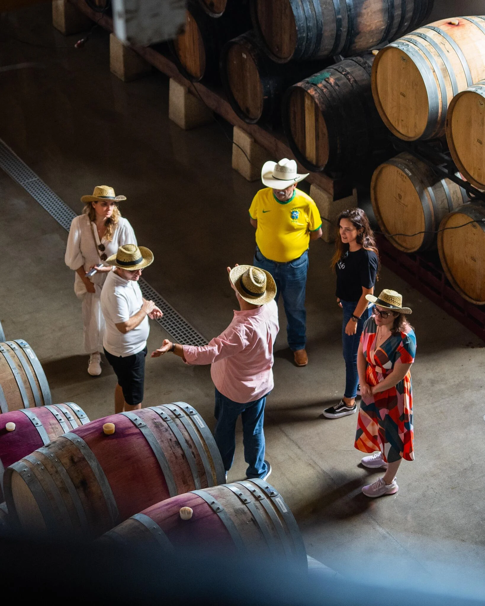 Herdade do Esporão – Visita & Almoço no Wine Bar