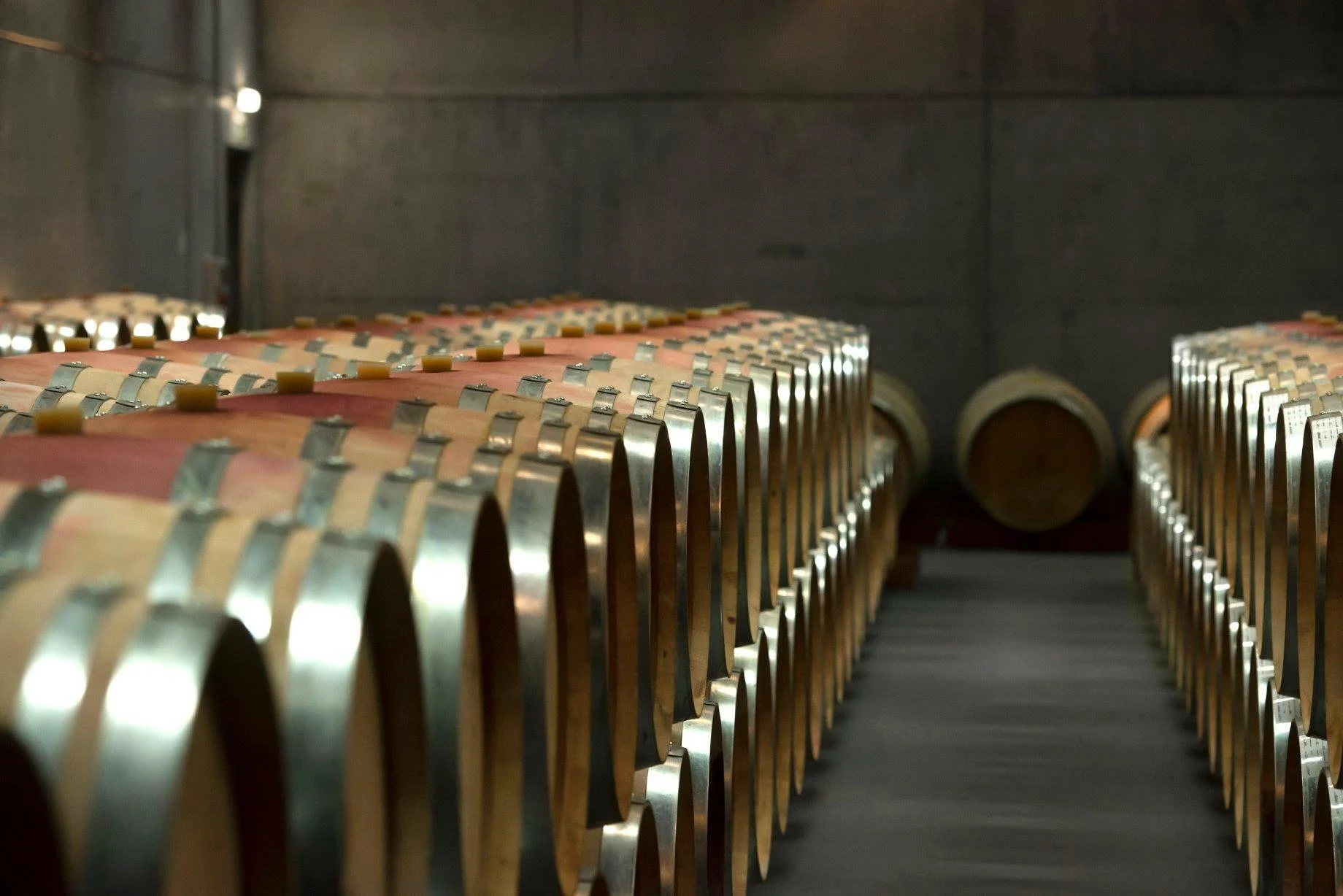 Rota Atlântica dos Vinhos de Lisboa