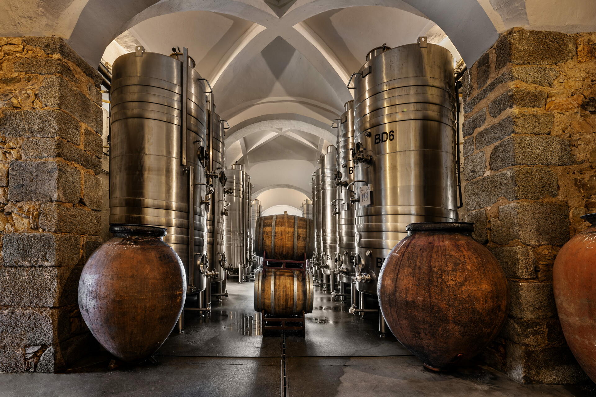 Fitapreta – Yes! I’m a Wine Geek!