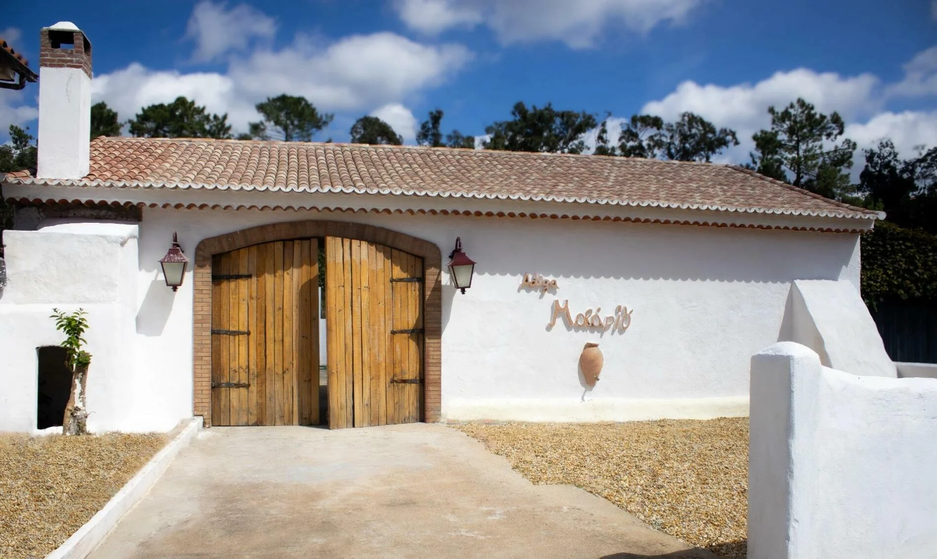 Adega Malápio – Prova de Vinhos de Talha