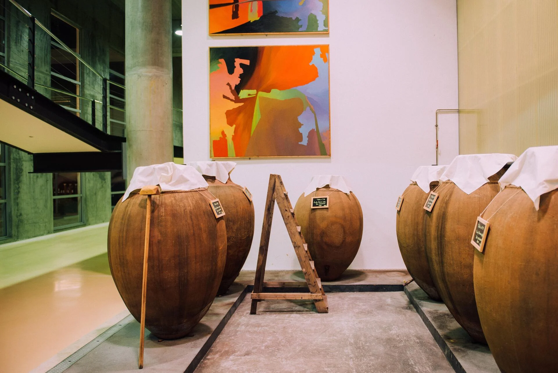 Herdade do Rocim – Enólogo por 1 Dia