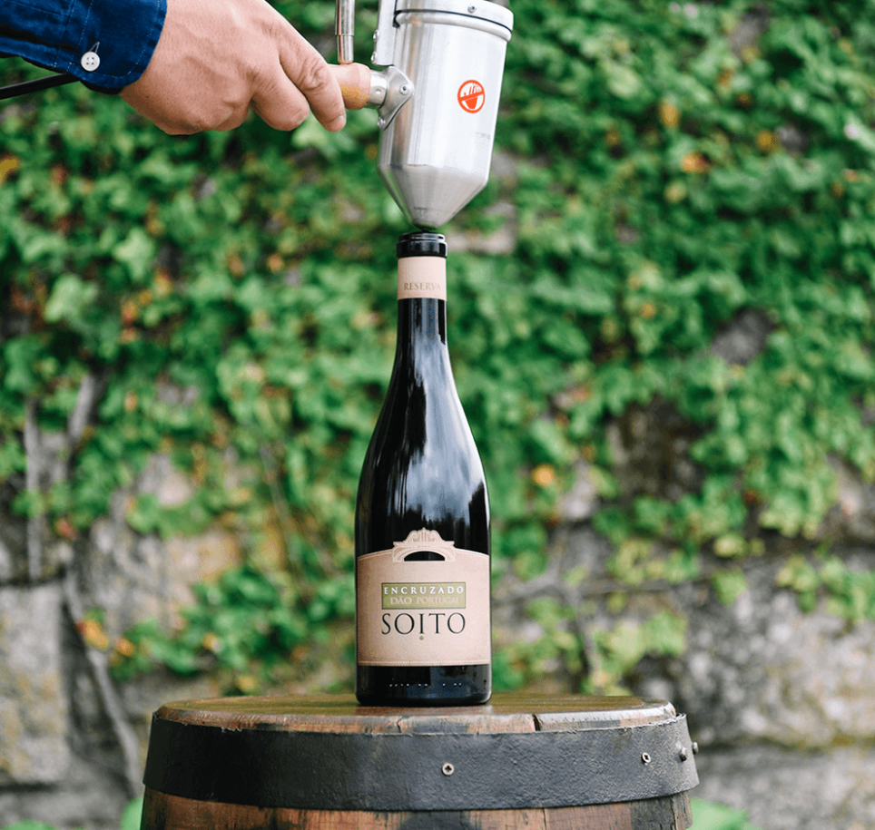 Soito Wines – Vinho & Queijo