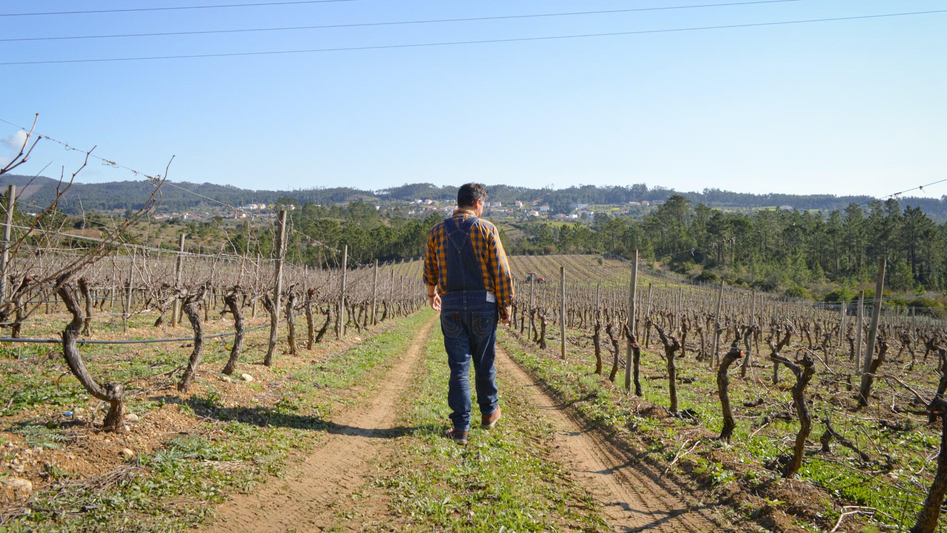 PRIOR LUCAS – Wine Experience