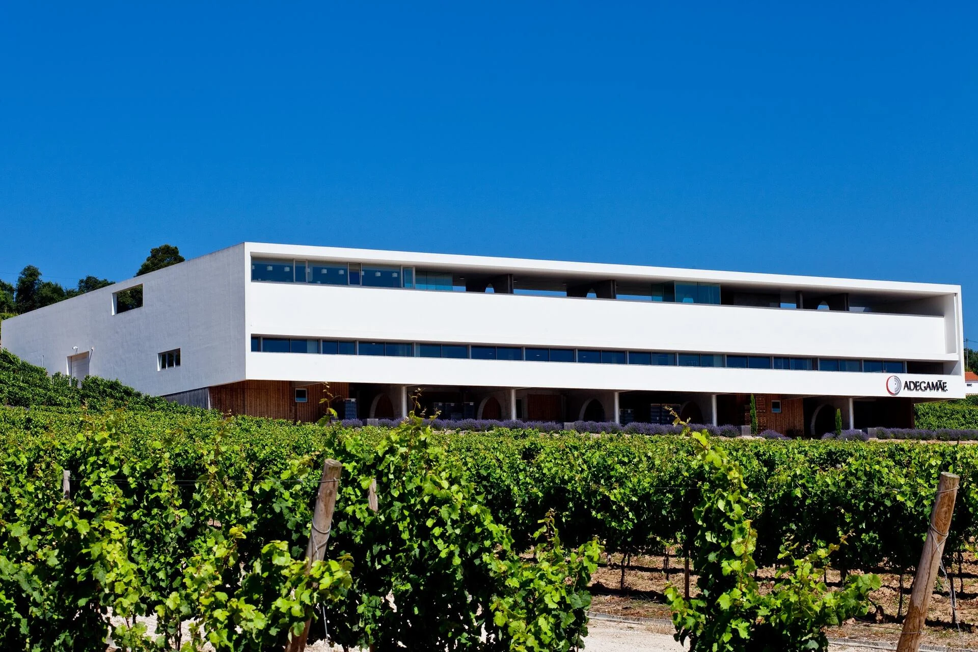 Adegamãe – Brunch & Vinho