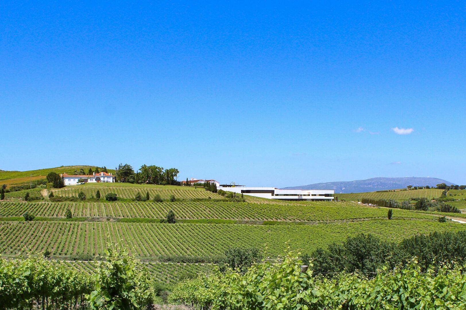 Casa Santos Lima – Visita & Prova Terroir