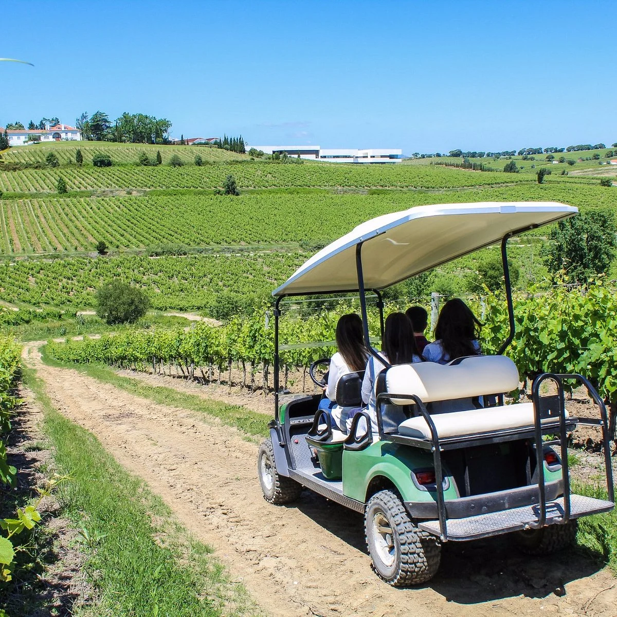 Casa Santos Lima – Passeio de Buggy