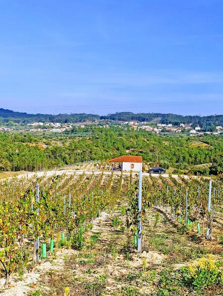 PRIOR LUCAS – Experiência Gastronômica na Vinha