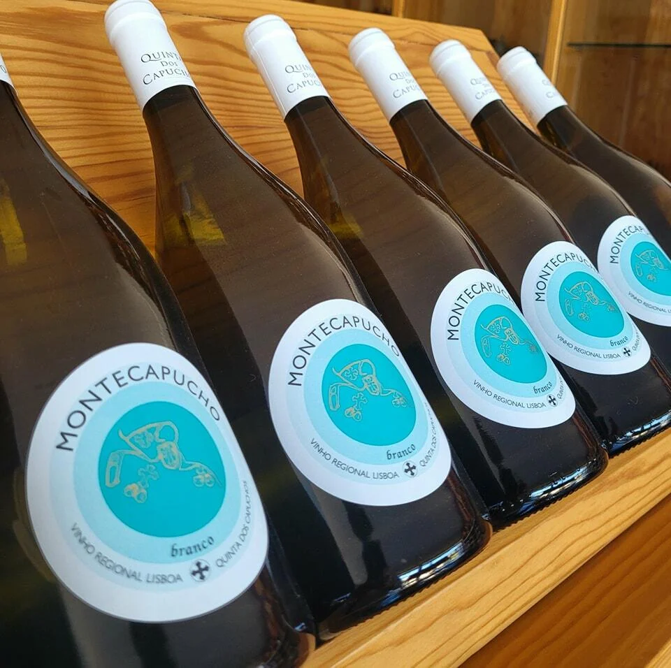 Quinta dos Capuchos – Tour Elite