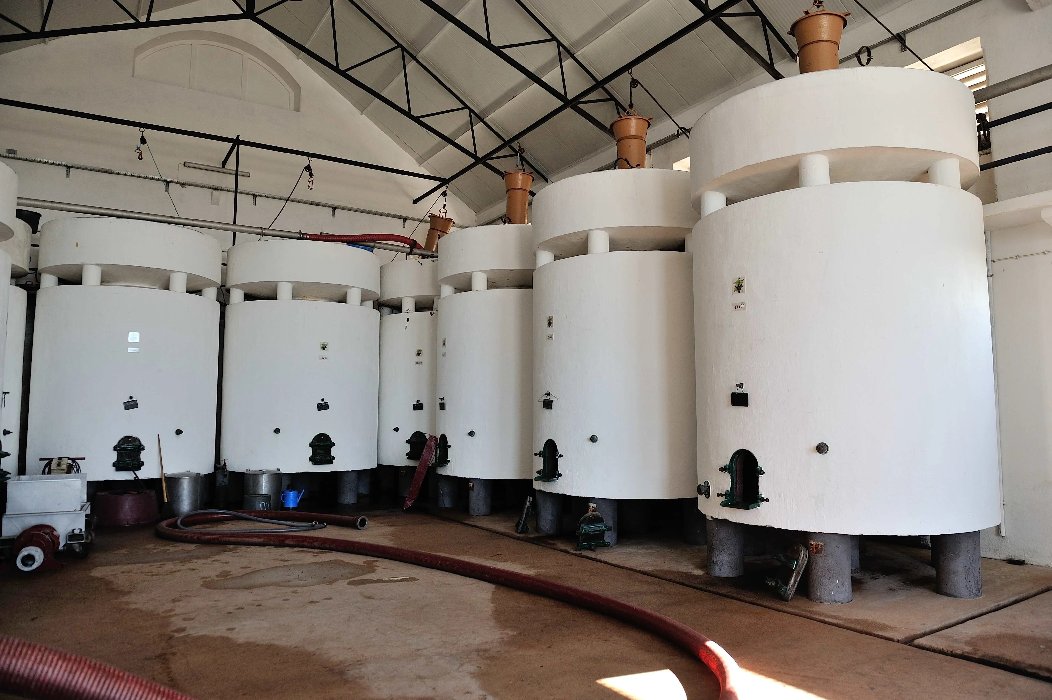 Quinta do Piloto – Experiência Paladares