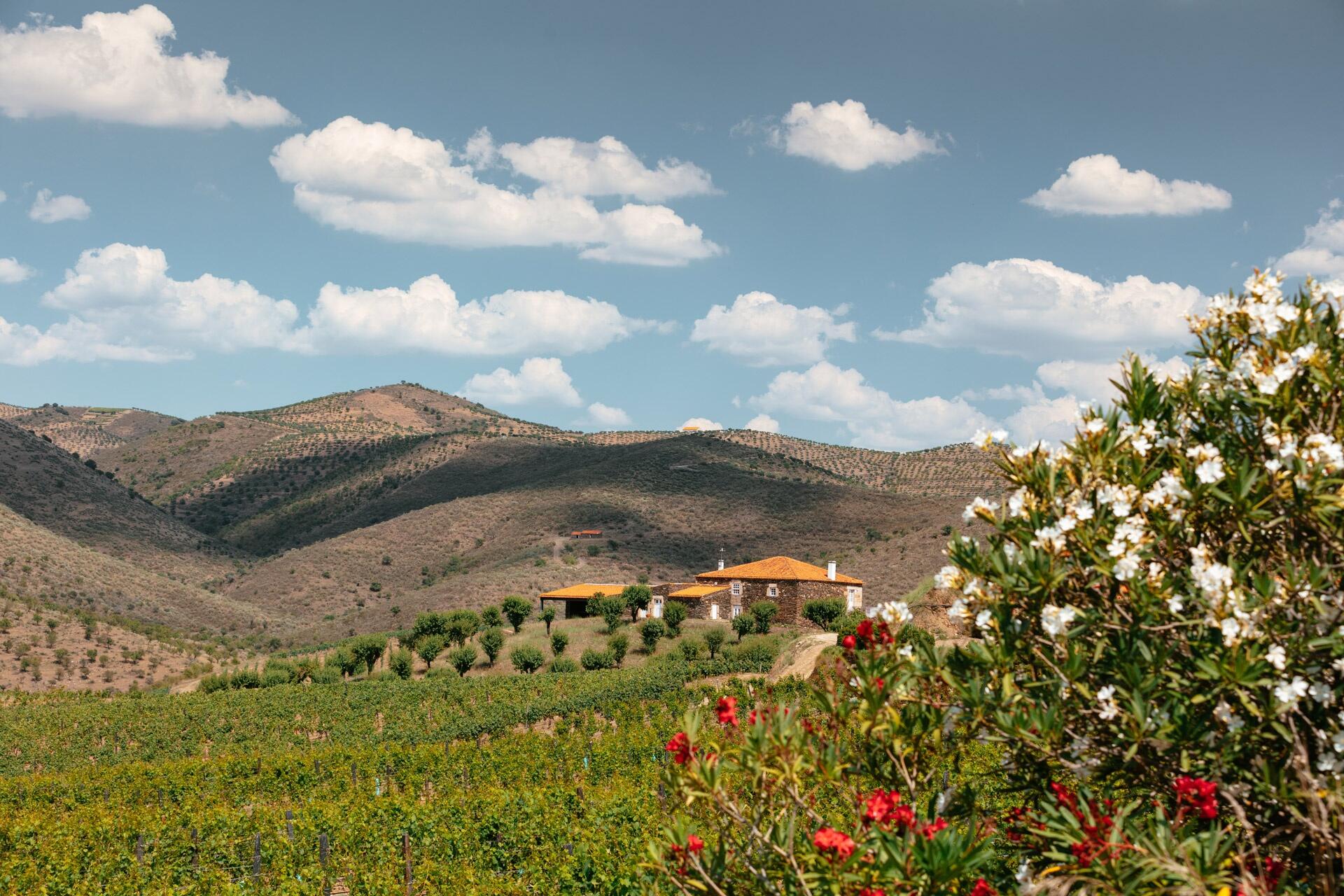 Quinta de Ervamoira – Visita & Prova Intermediate