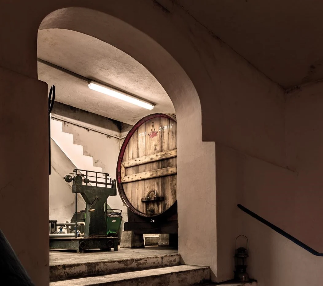 Adega José de Sousa – Prova José de Sousa