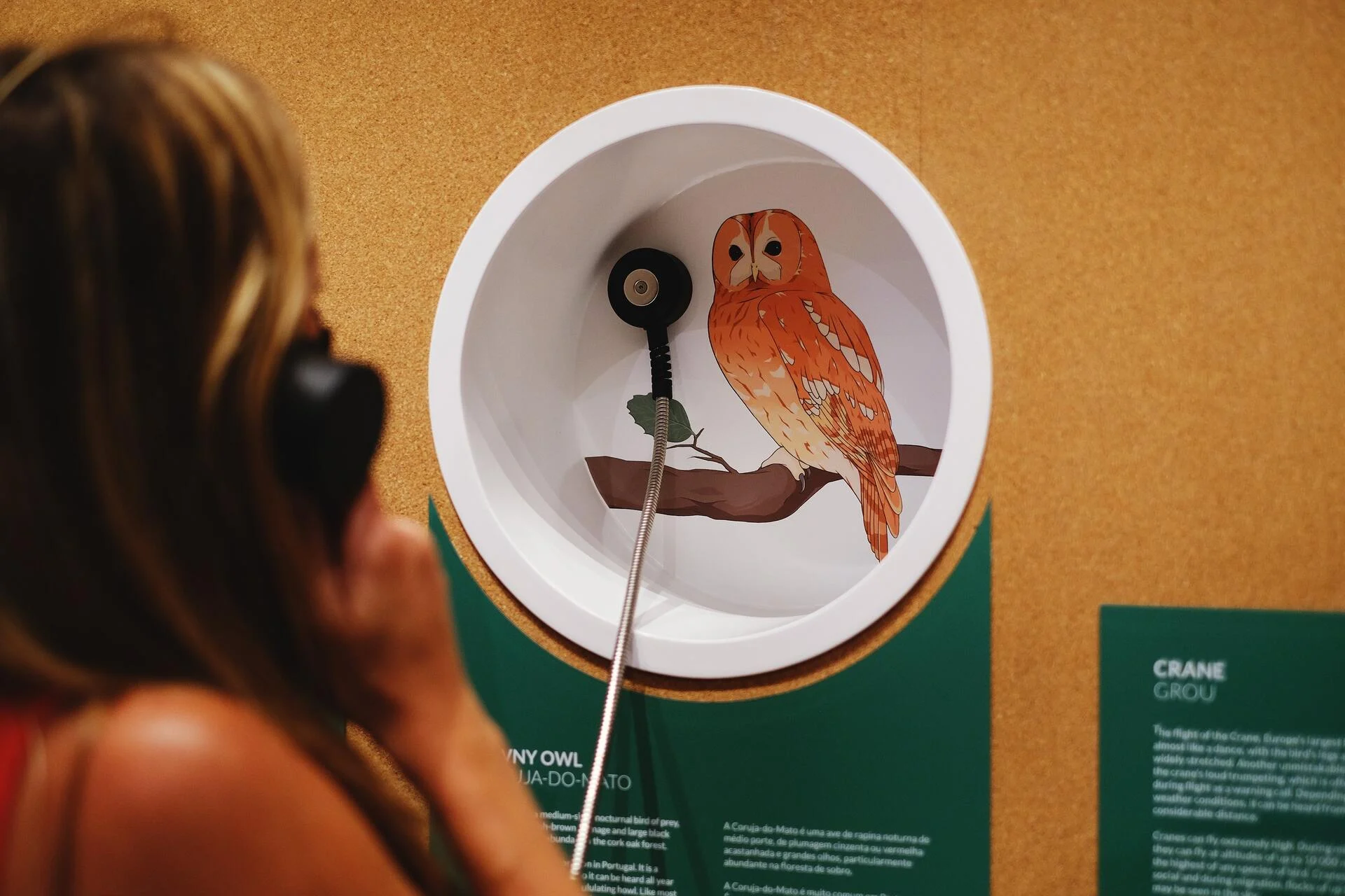 WOW – Visita ao Museu “Planet Cork”