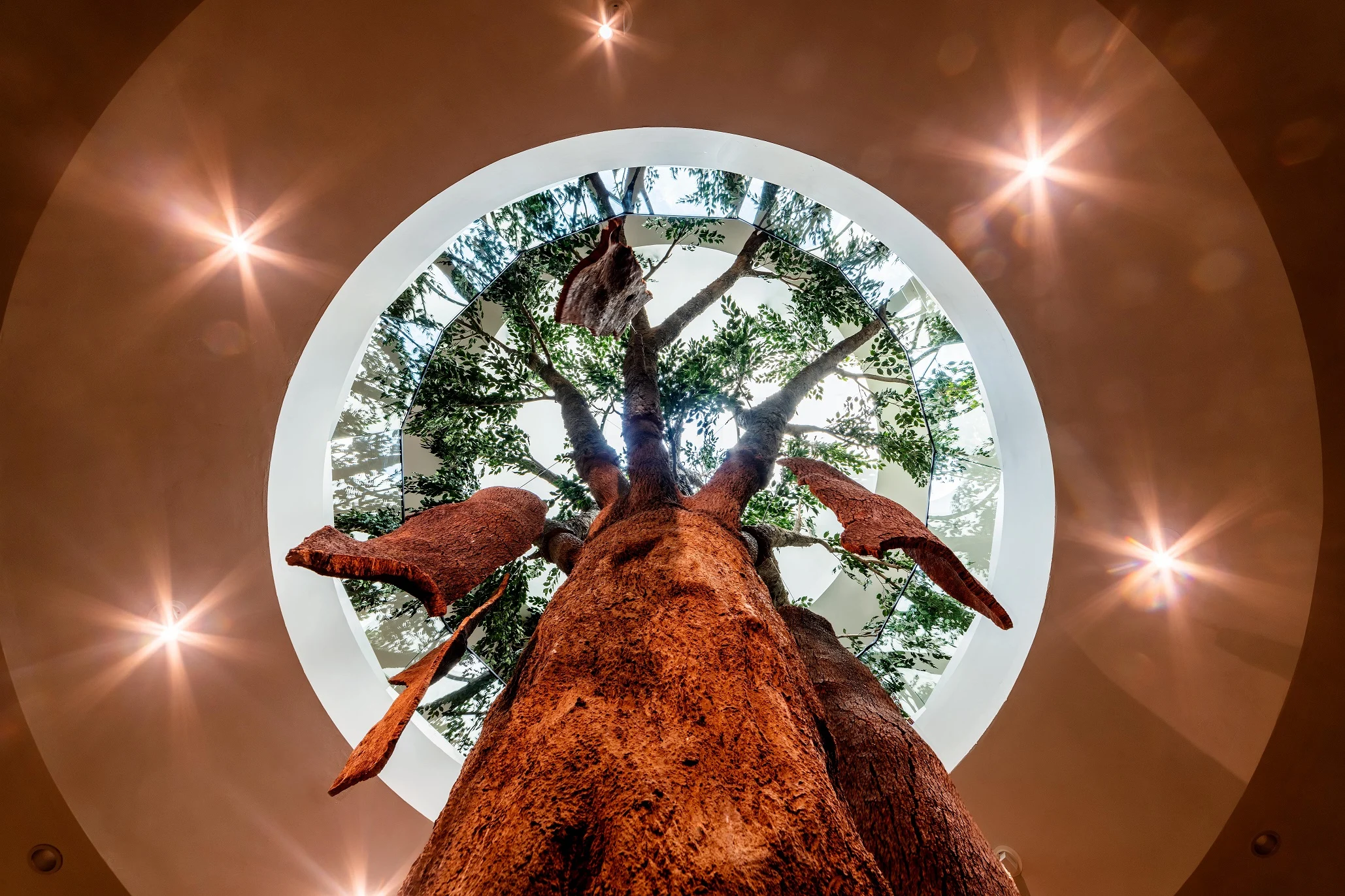 WOW – Visita ao Museu “Planet Cork”