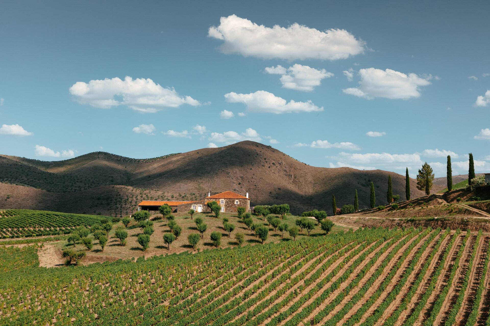 Quinta de Ervamoira – Visita & Prova Expert