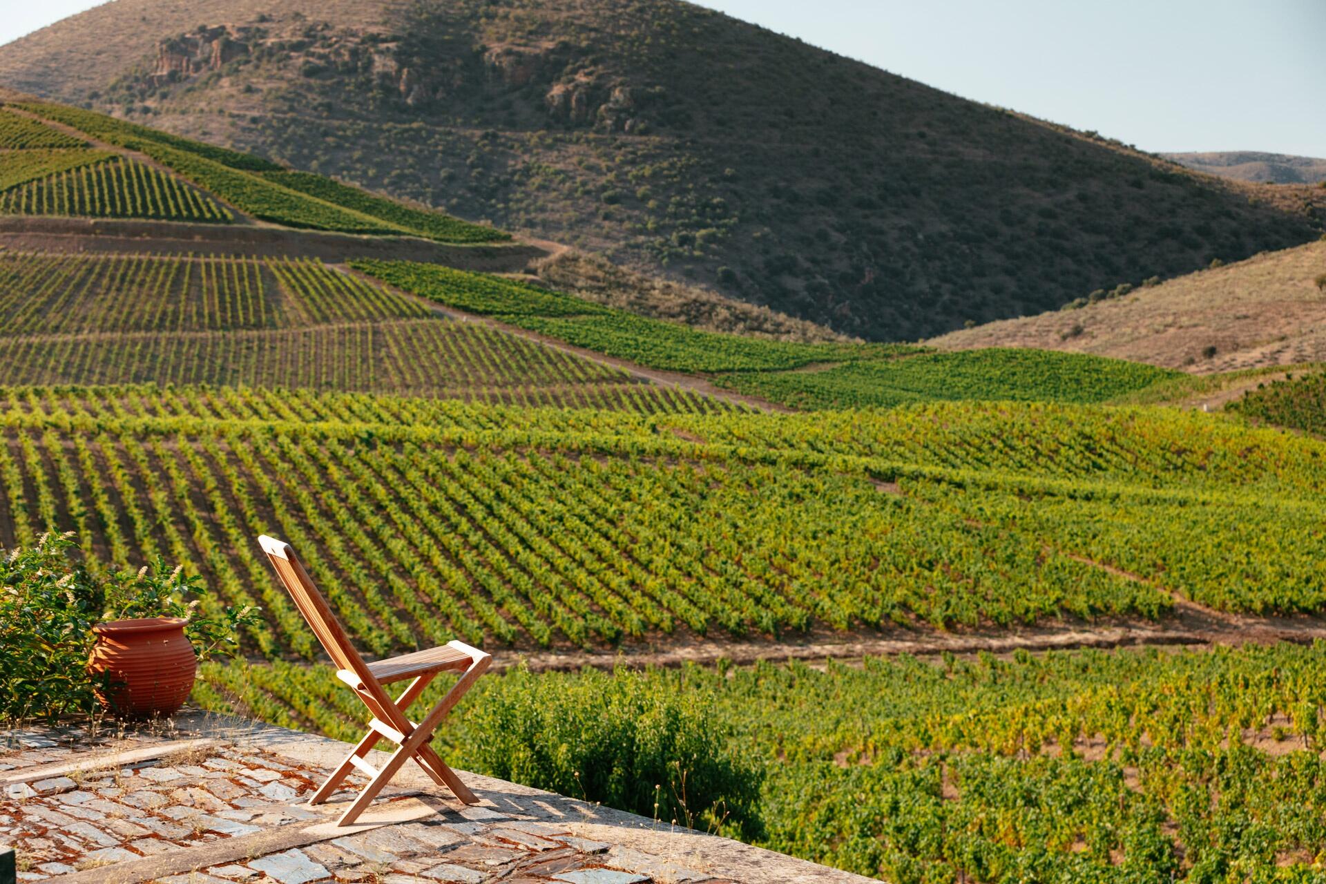 Quinta de Ervamoira – Visita & Prova Expert