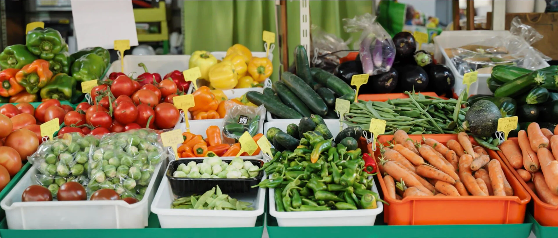 Experiência Gastronómica – Chef Arnaldo Azevedo