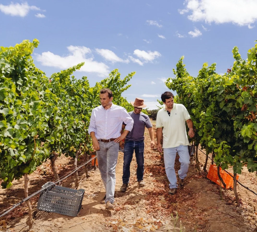 Villa Alvor – Visita & Prova com o Enólogo