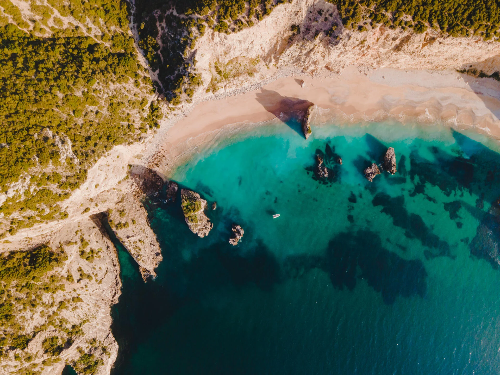 Experiência Gastronómica – Chef André Cruz