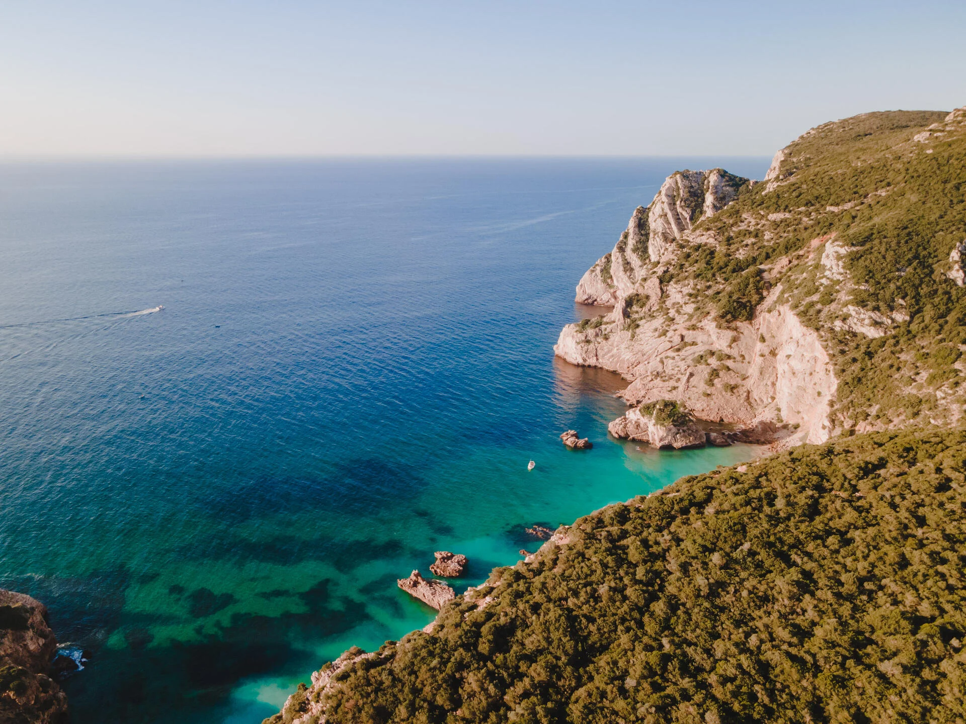 Experiência Gastronómica – Chef André Cruz