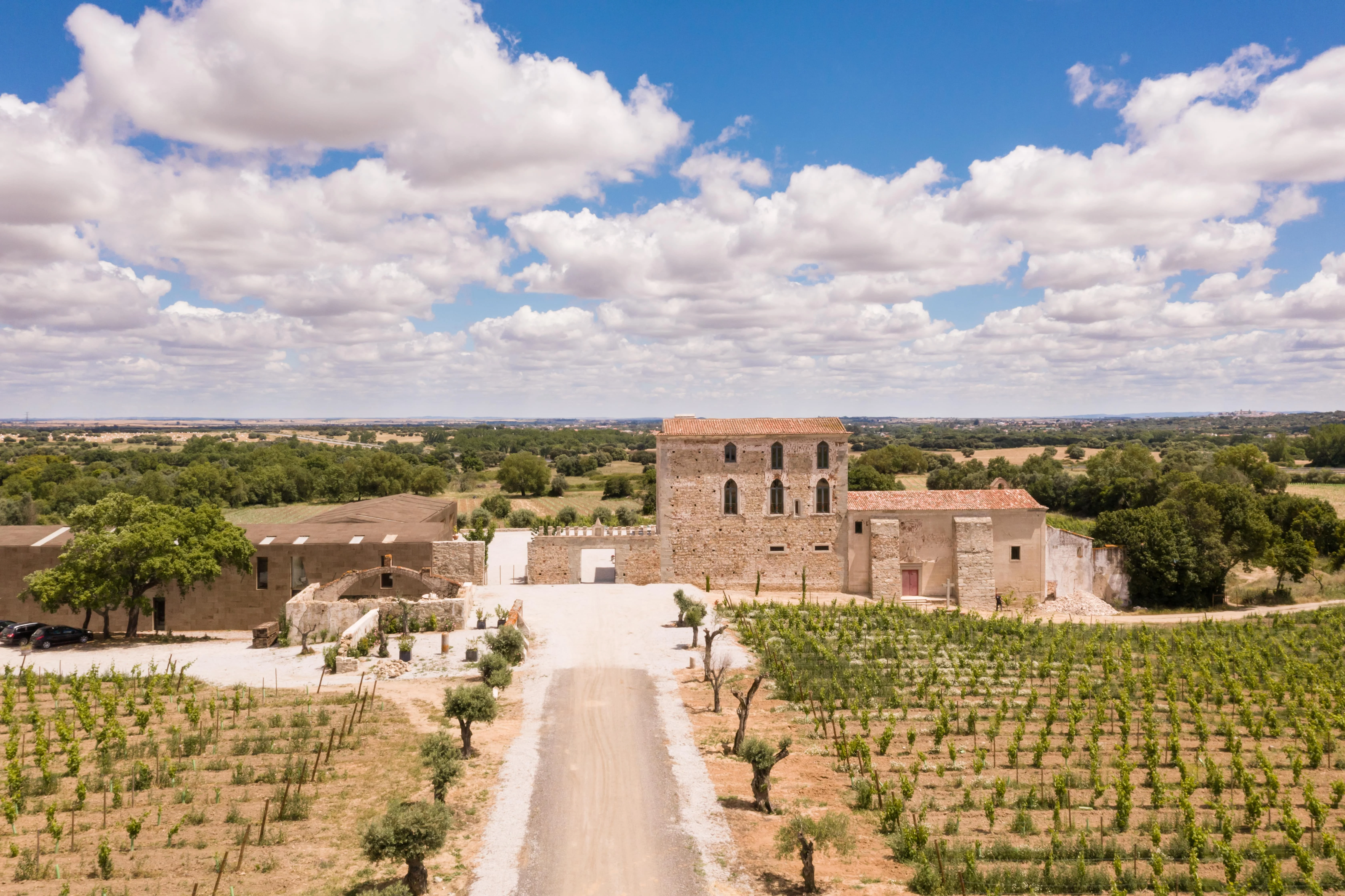 Fitapreta – Master of Wine