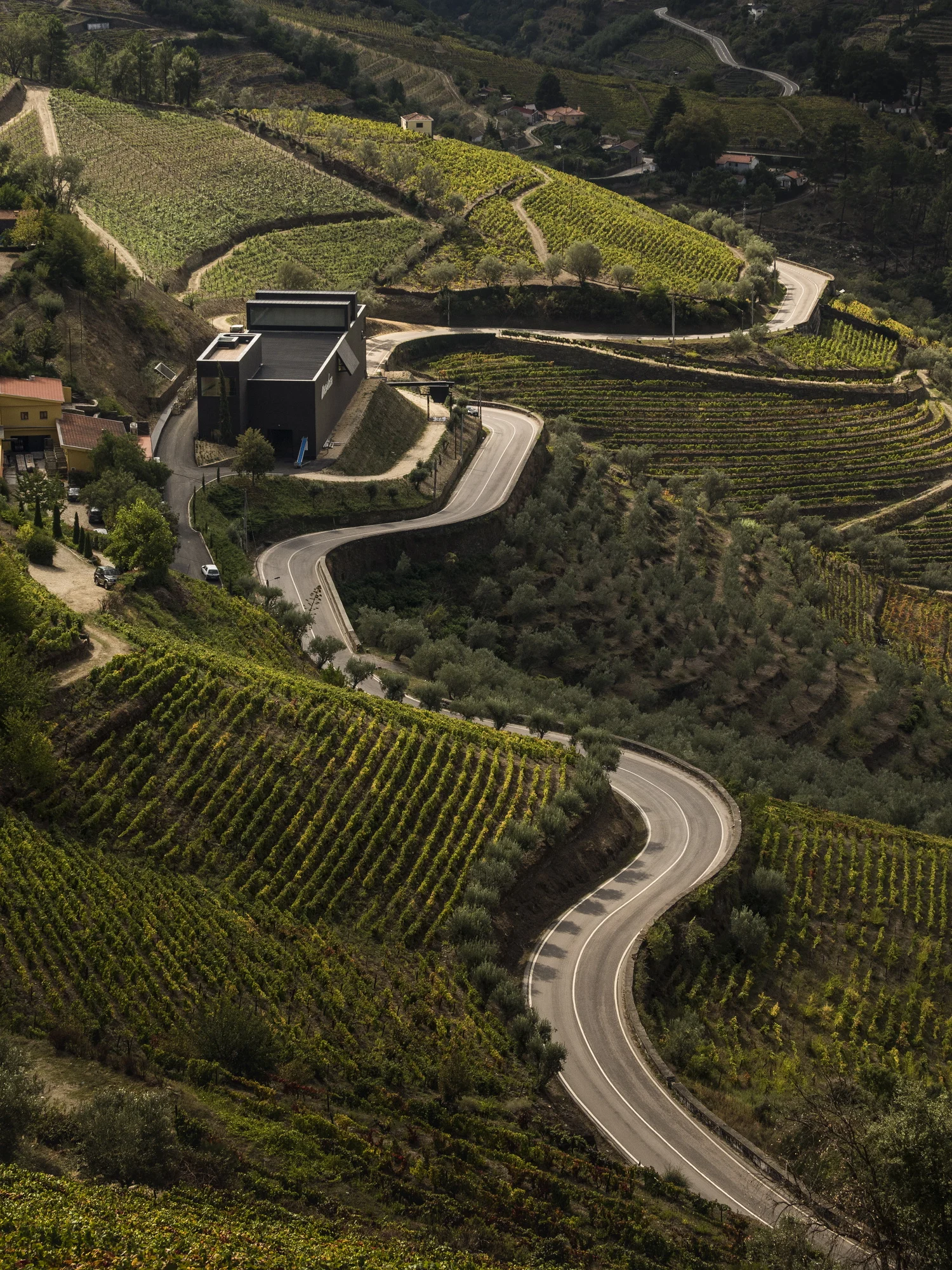 Alves de Sousa – Visita & Prova Clássica