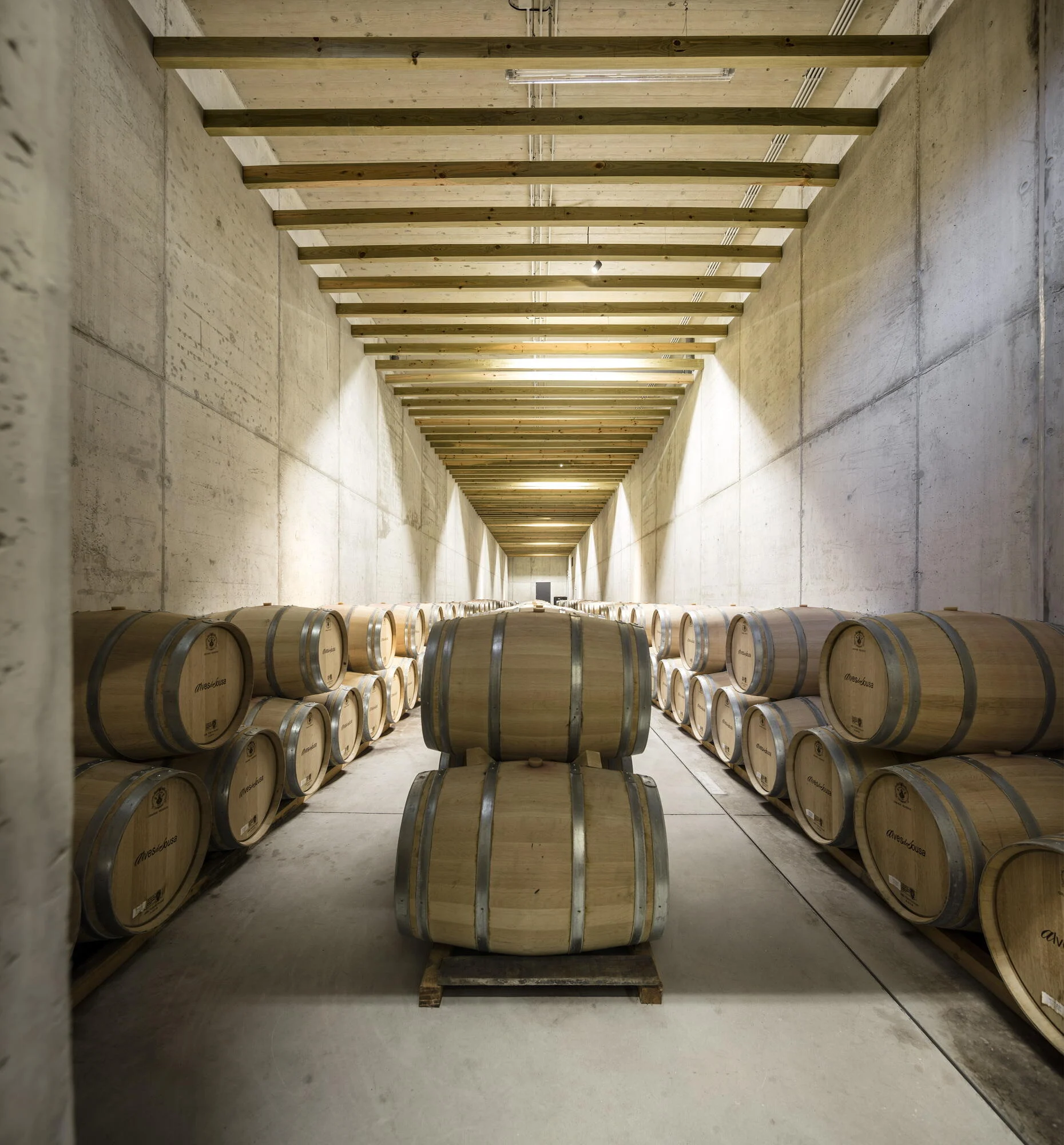 Alves de Sousa – Visita & Prova Clássica