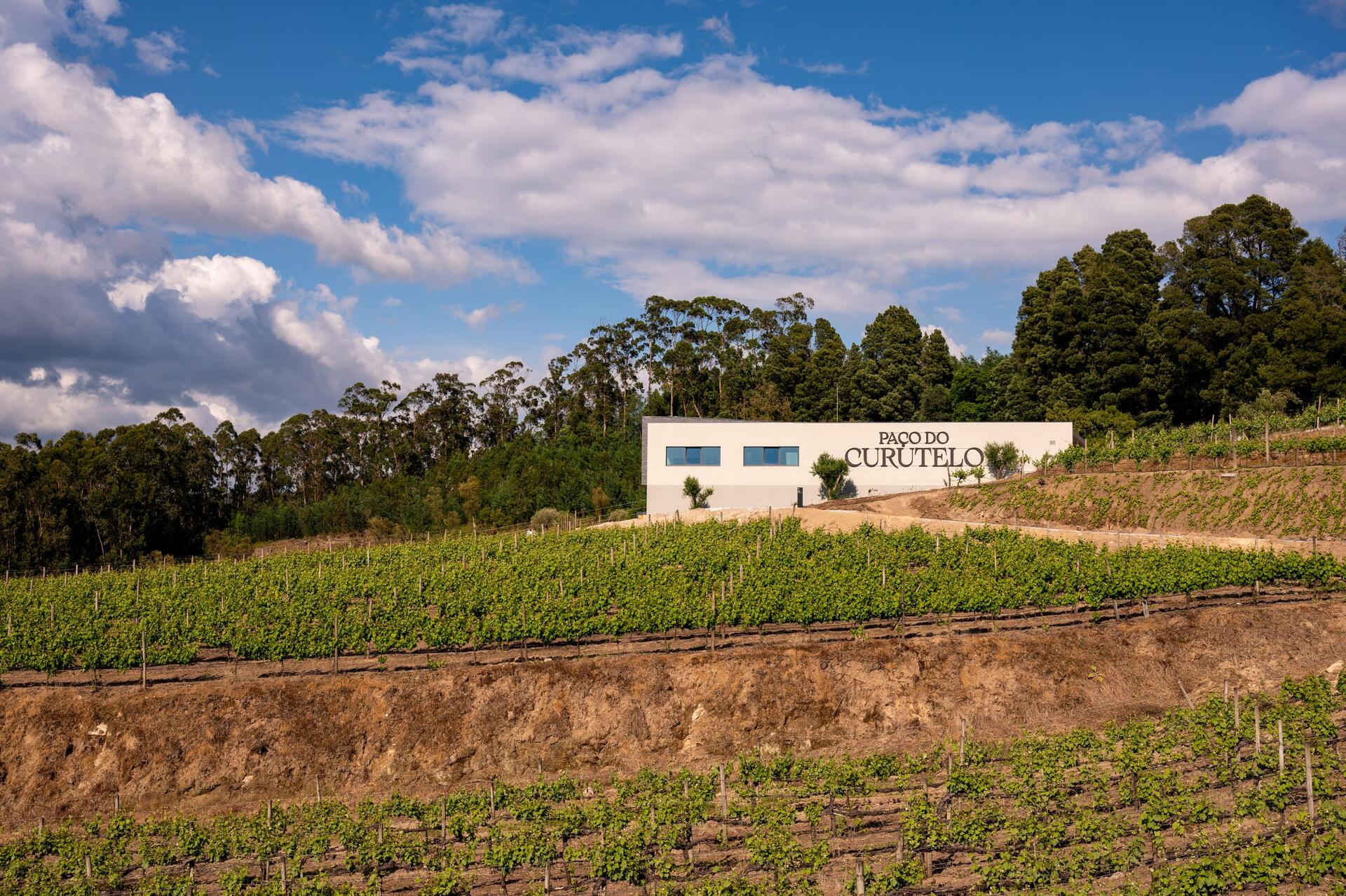 Paço do Curutelo – Visita & Prova “Curutelo”