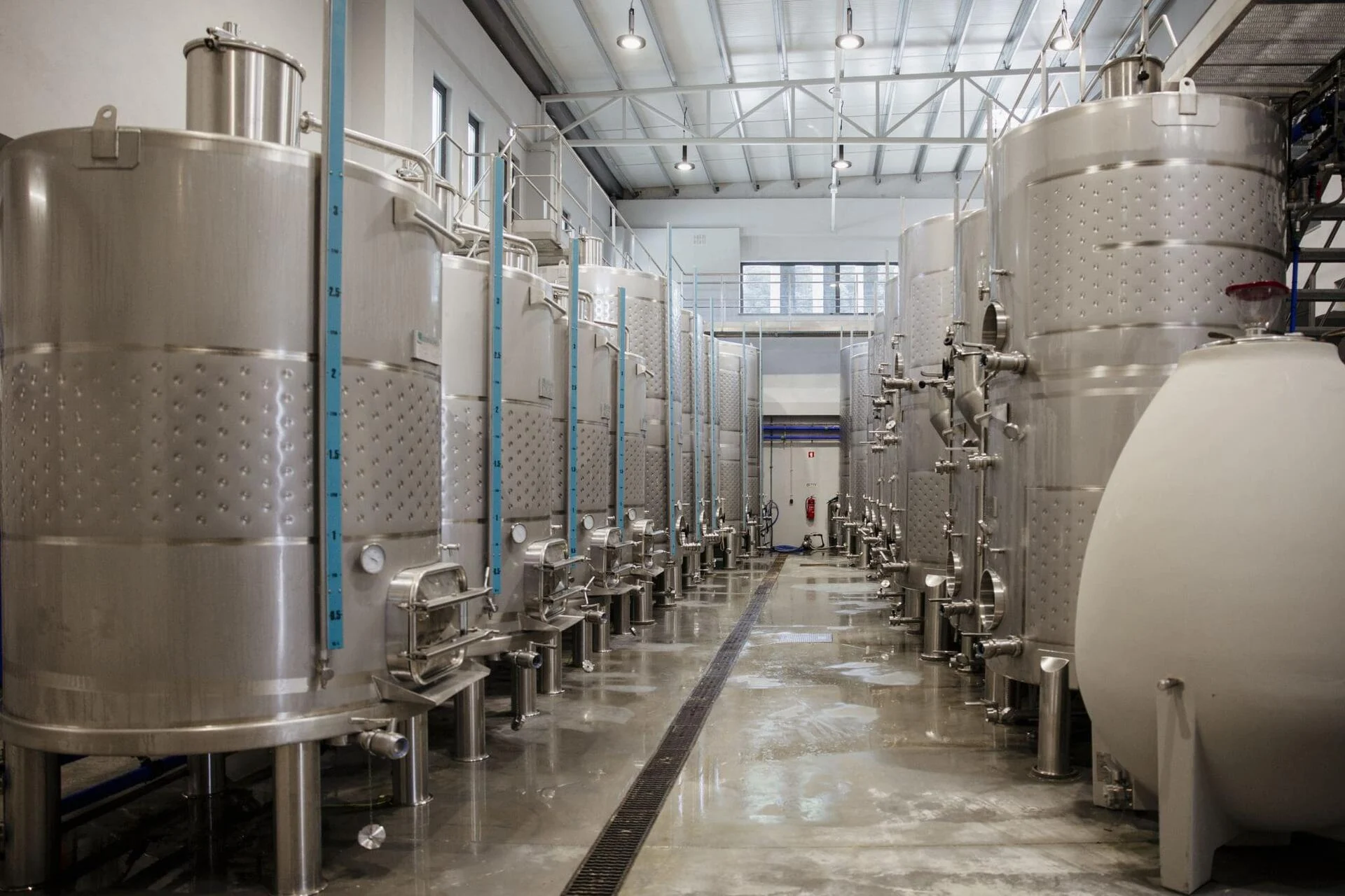 Paço do Curutelo – Visita & Prova “Premium”