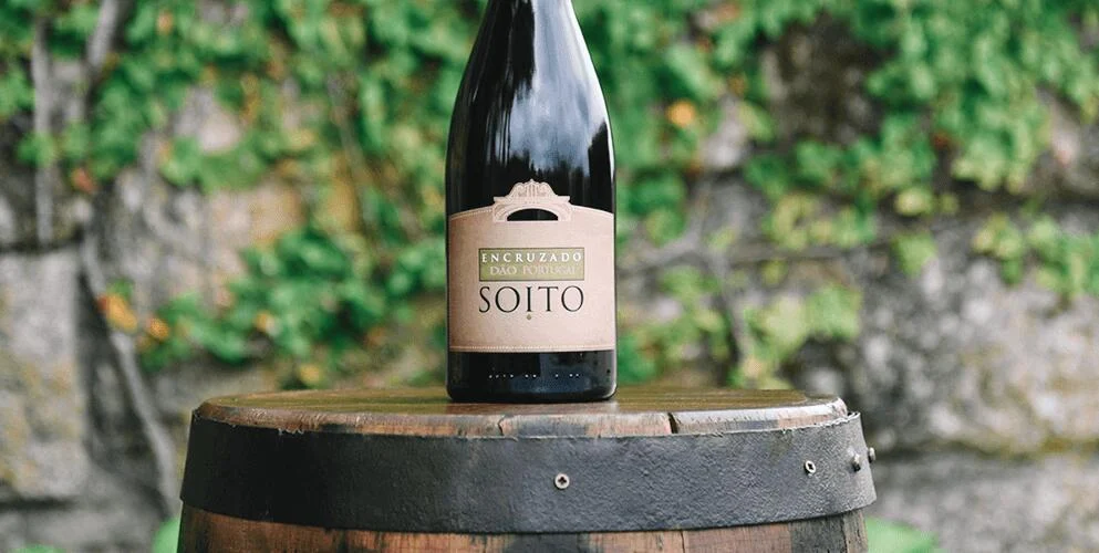 Soito Wines – Visita & Prova Premium