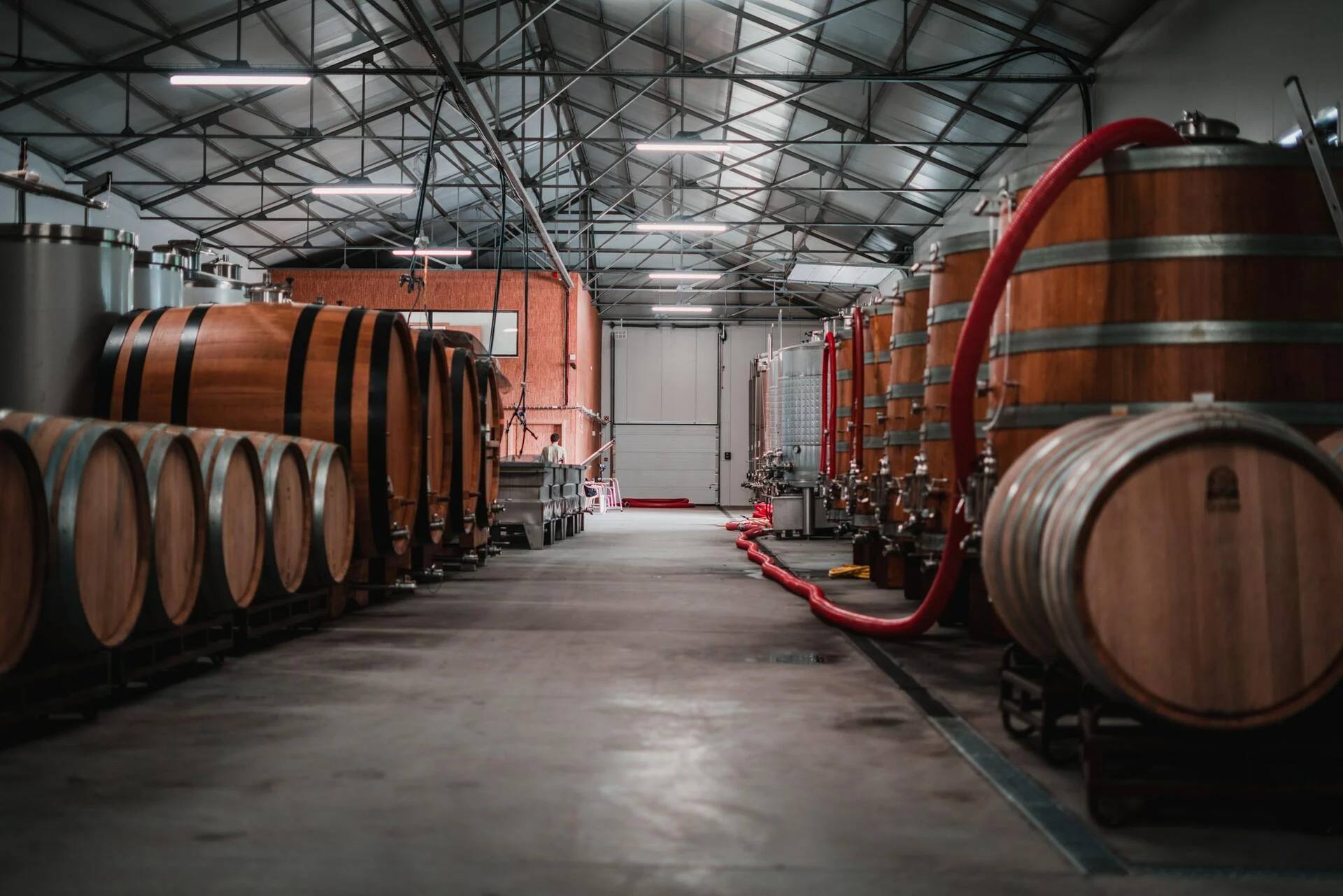 Textura Wines – Visita & Prova Textura