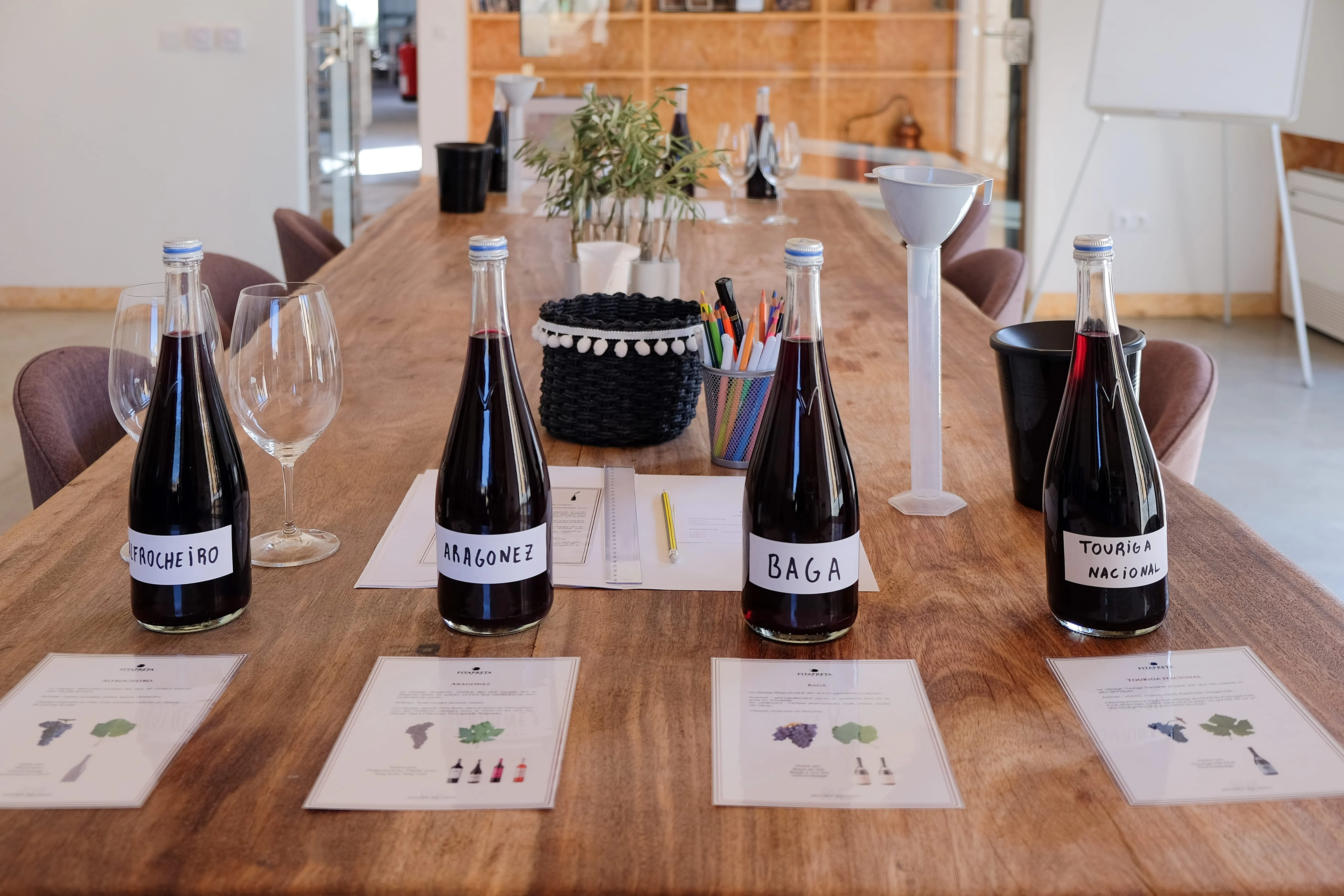 Fitapreta – Enólogo por um Dia