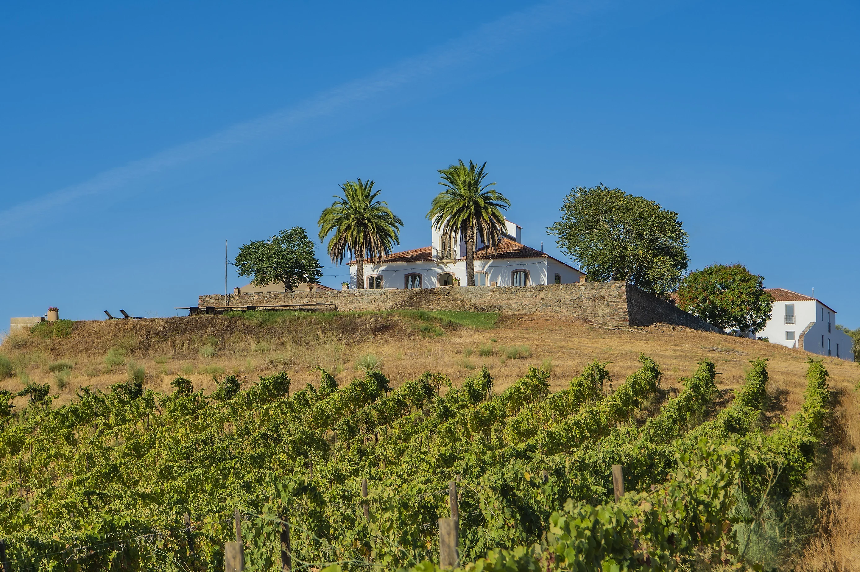 Herdade do Vau – Prova de Vinhos RISO