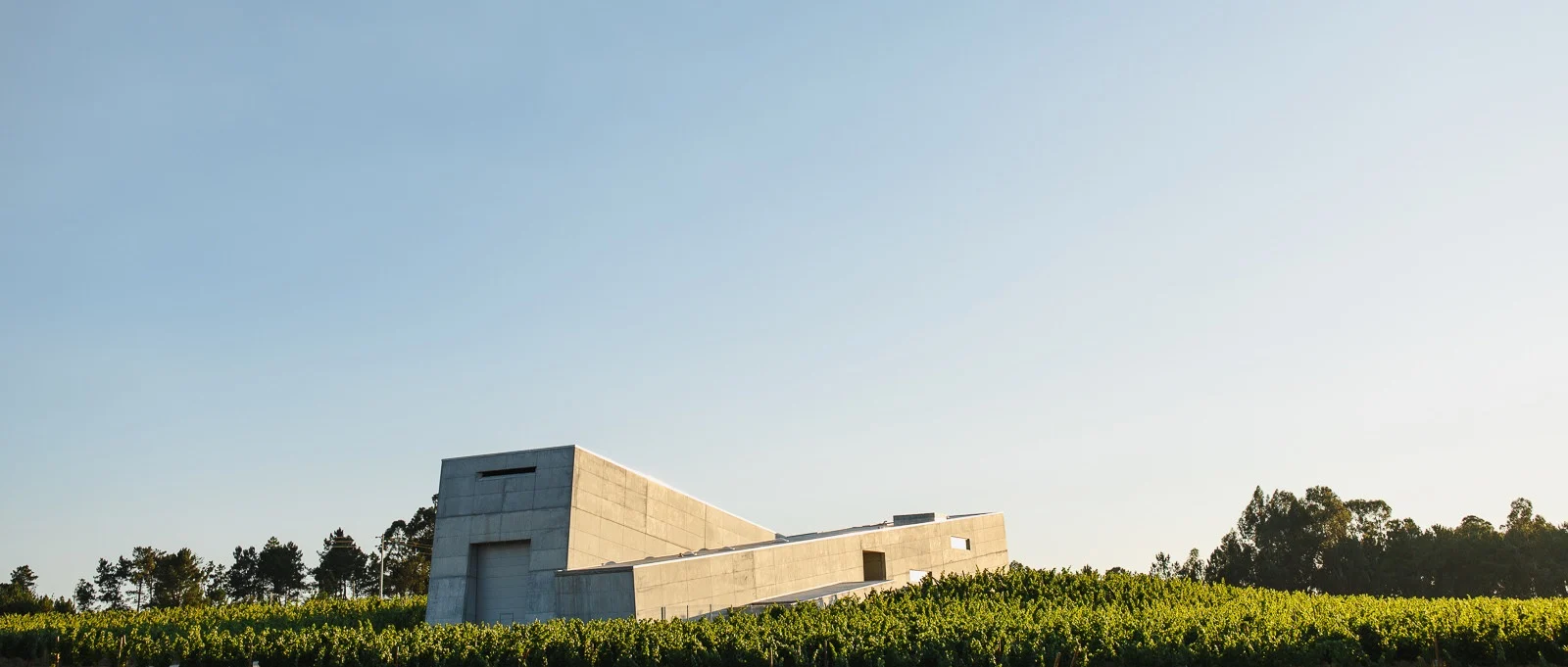 Caminhos Cruzados – Visita & Prova Premium