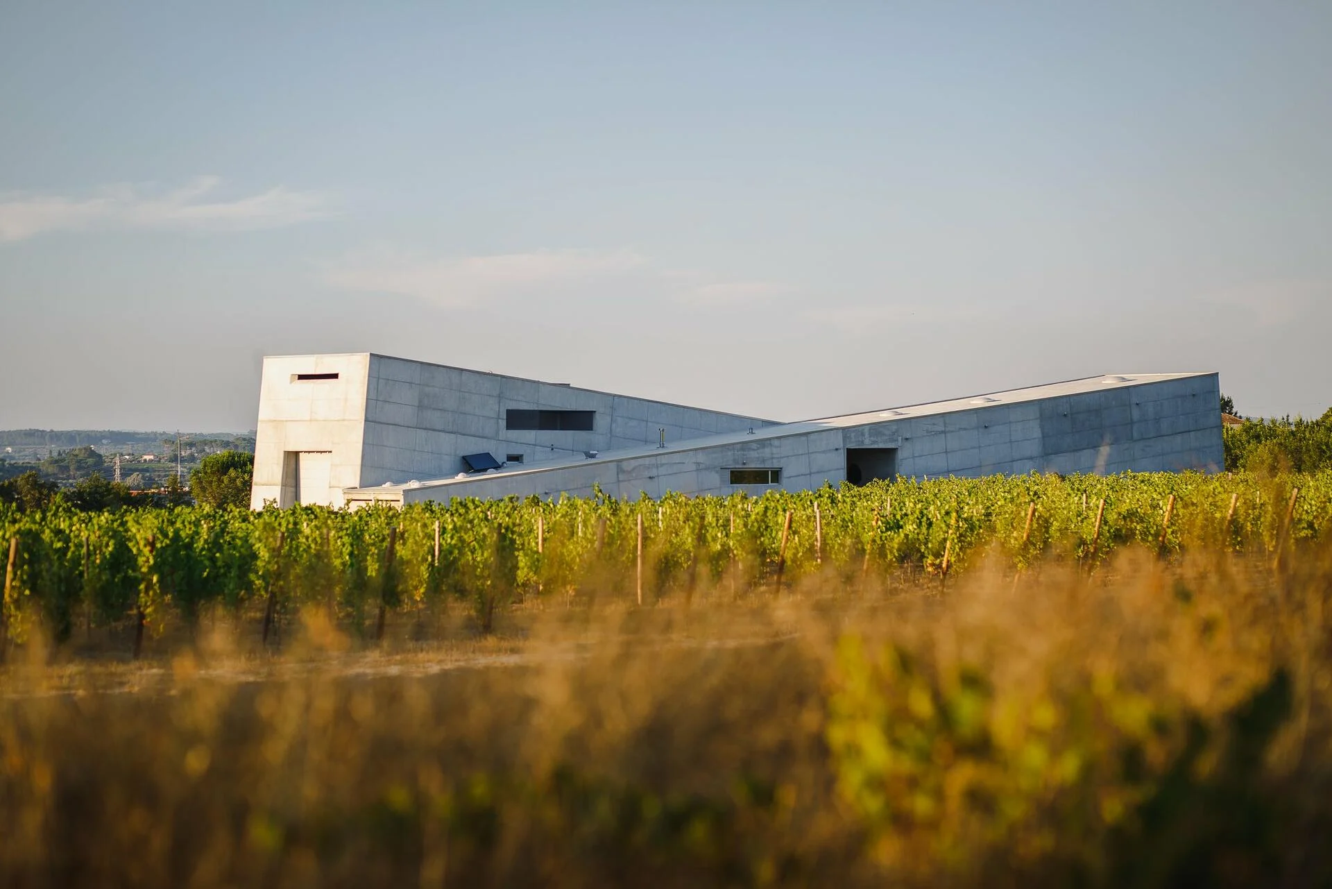 Caminhos Cruzados – Visita & Prova de 3 Vinhos