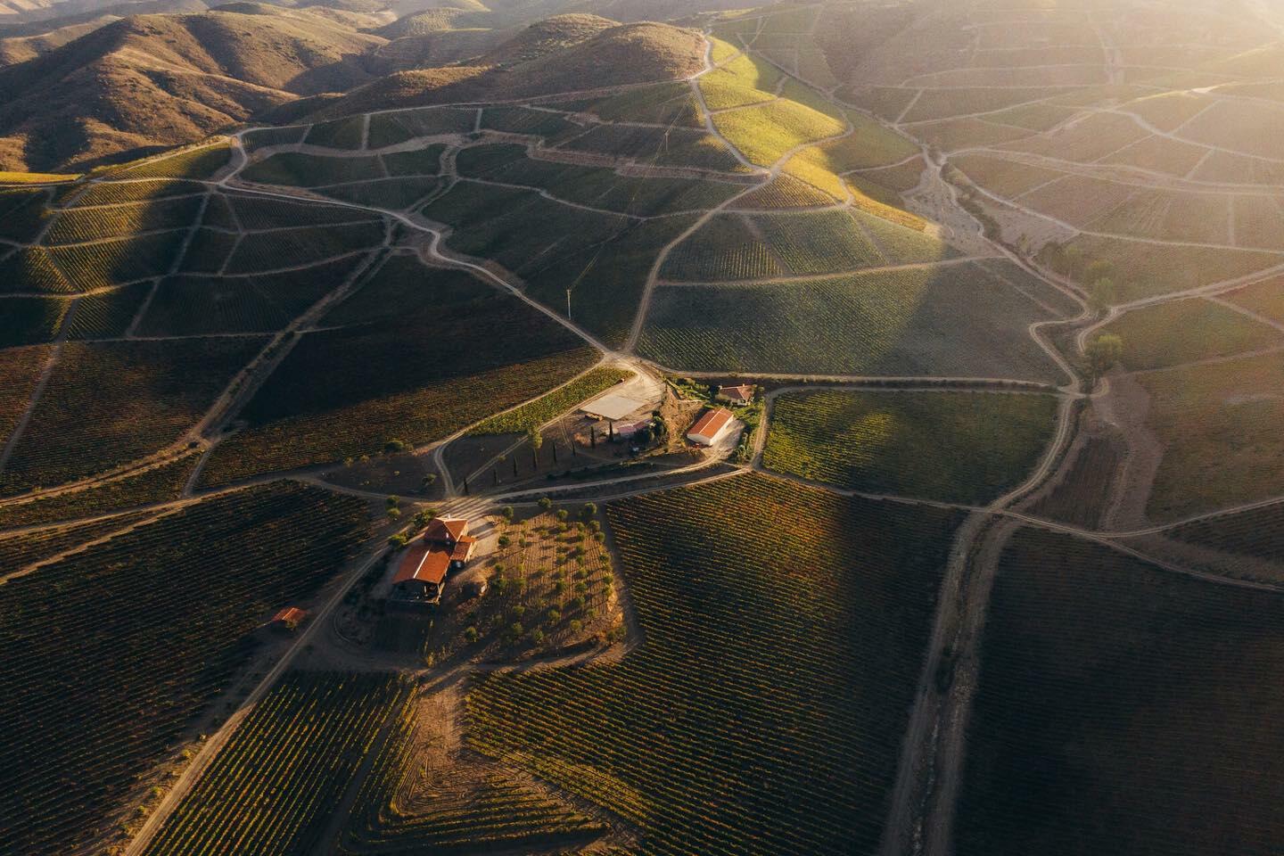 Quinta de Ervamoira – Visita & Prova Tawny World