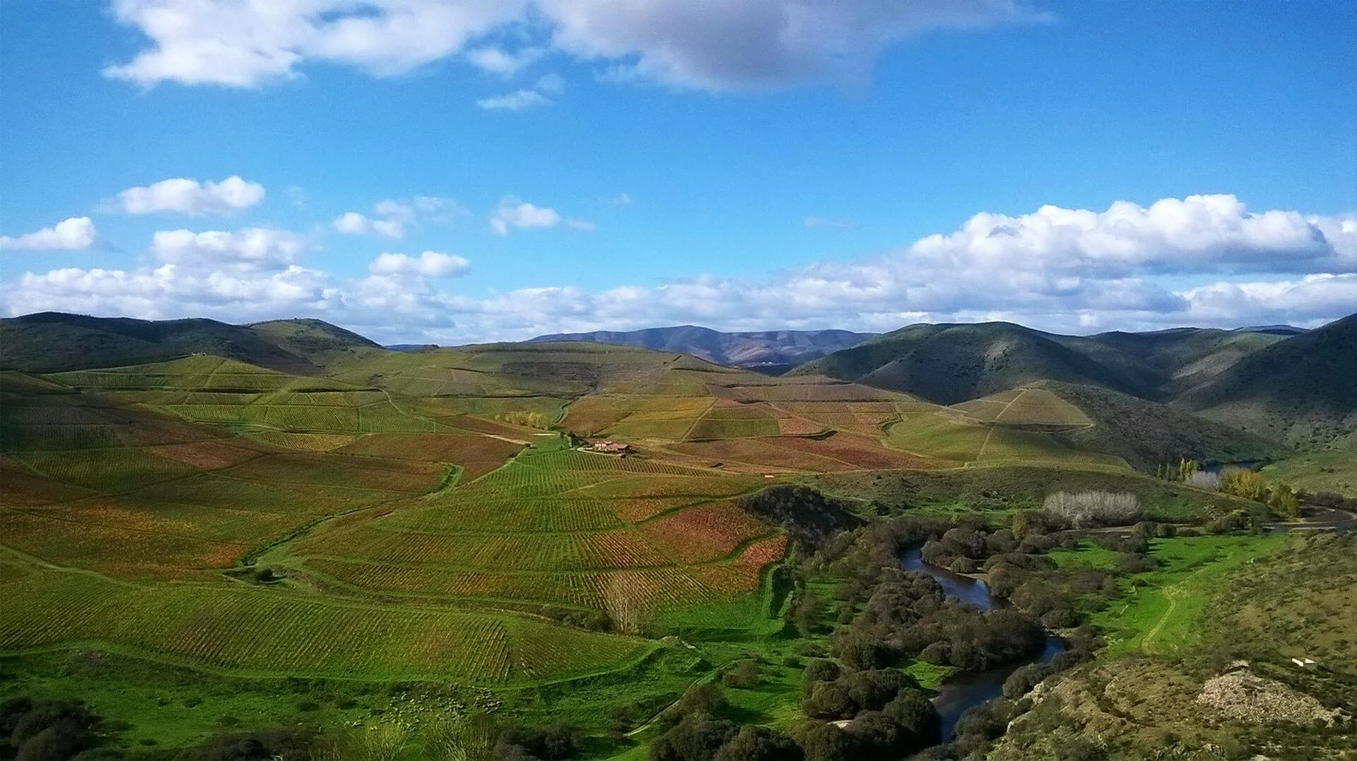 Quinta de Ervamoira – Visita & Prova Duas Quintas