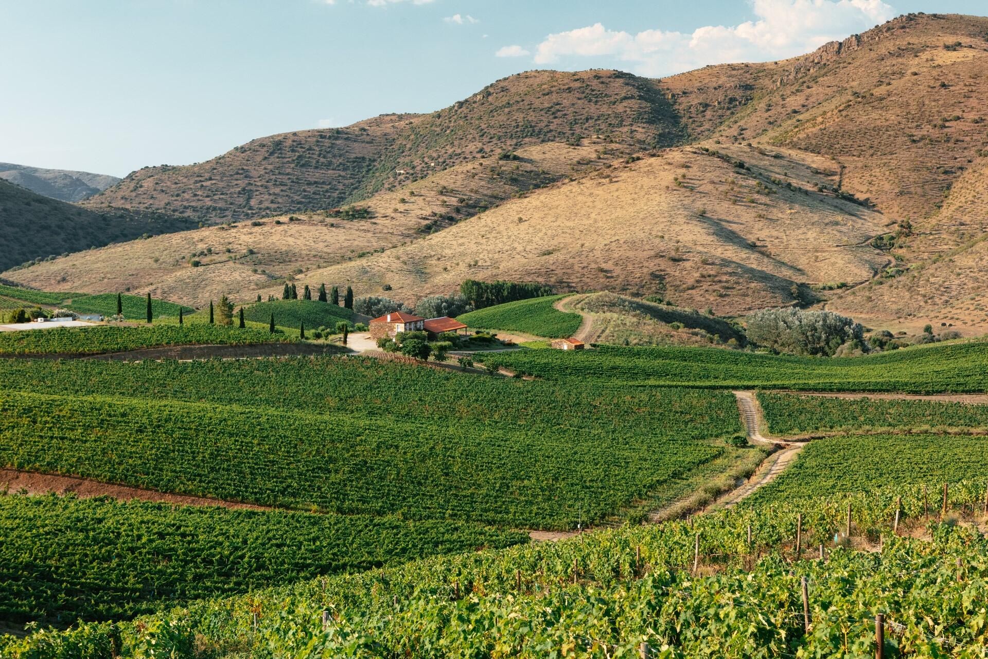 Quinta de Ervamoira – Visita & Prova Duas Quintas