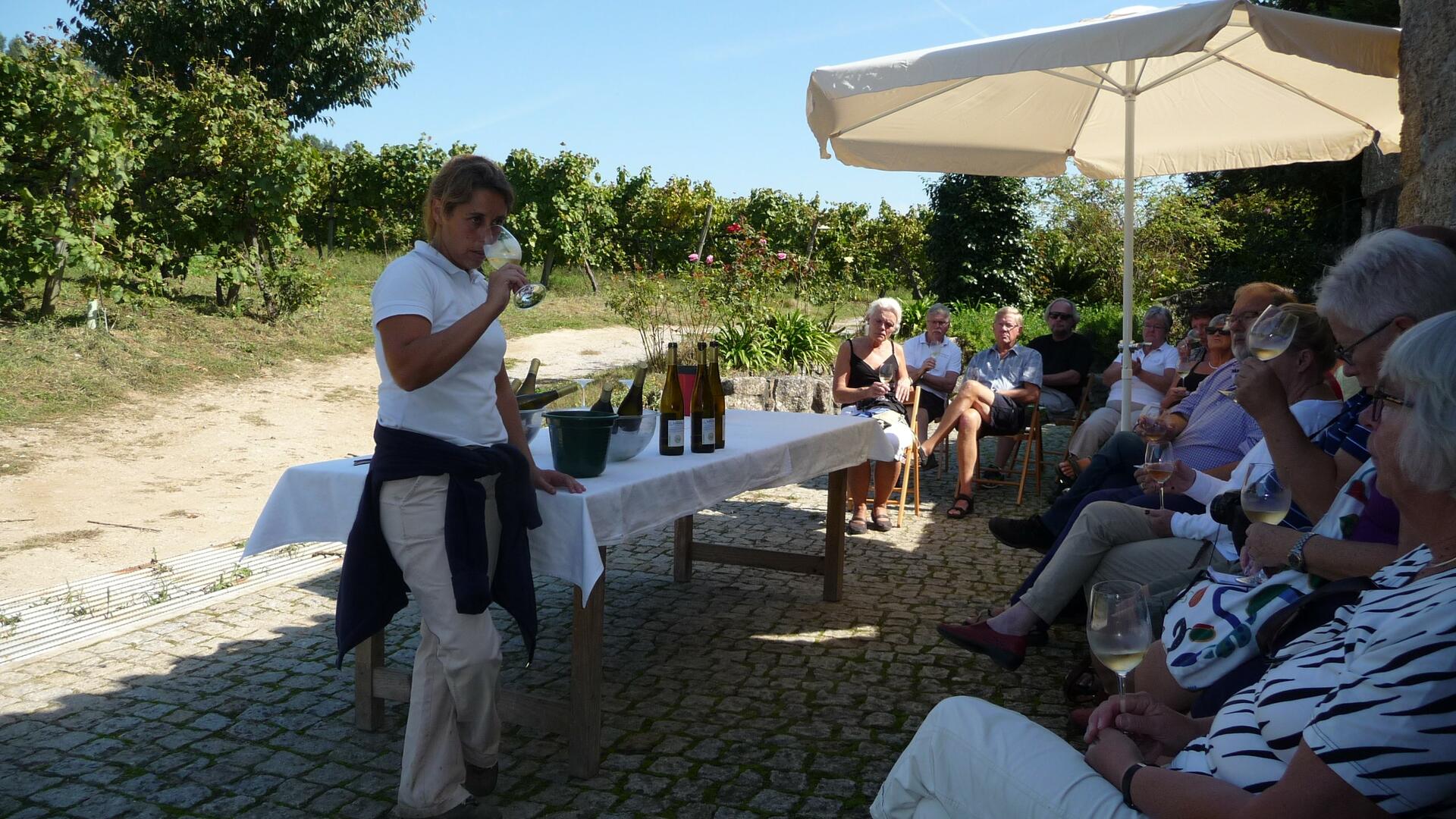 Quinta de Lourosa – Enólogo por Um Dia