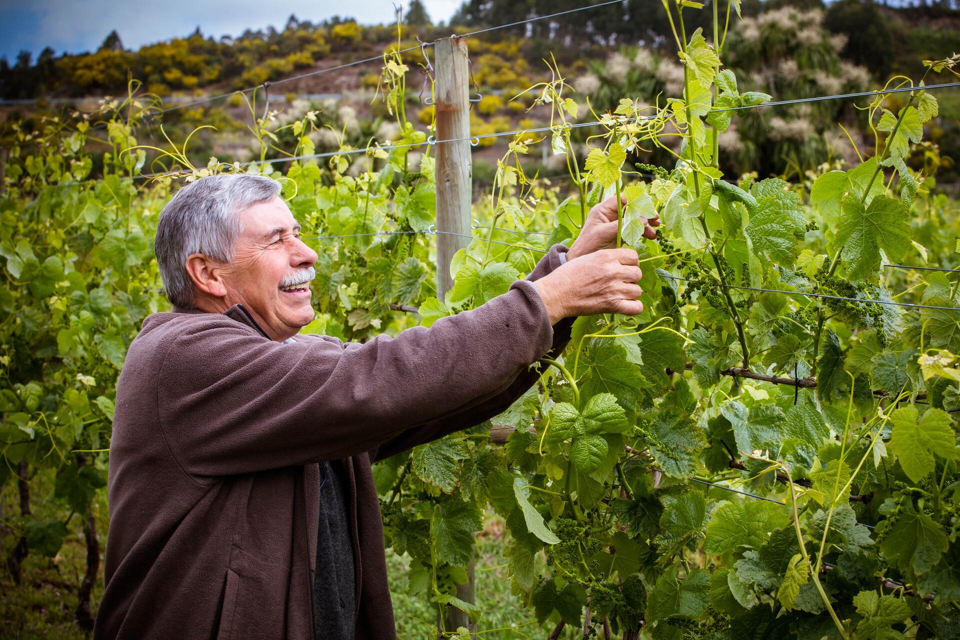 Quinta de Lourosa – Enólogo por Um Dia