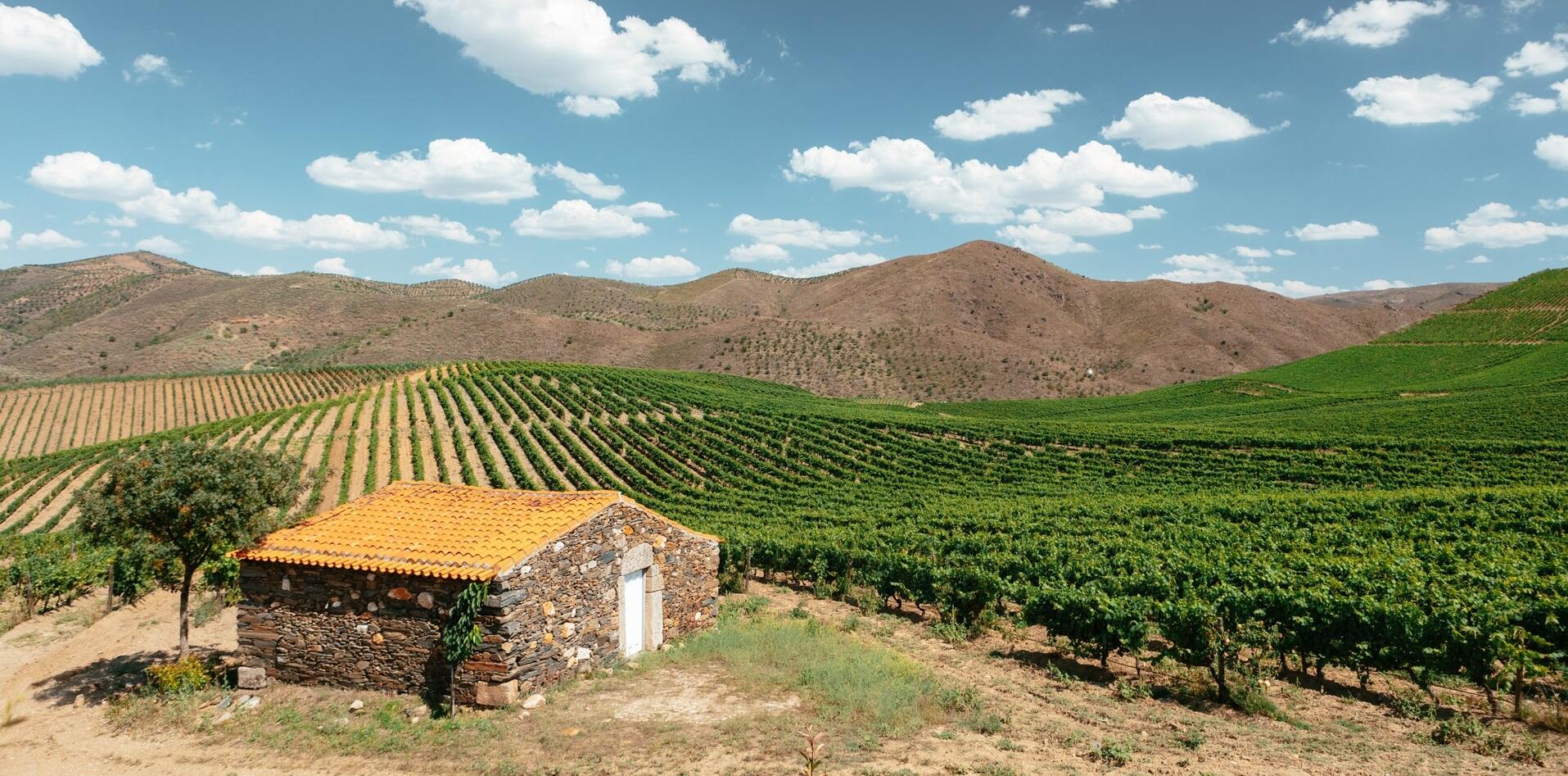 Quinta de Ervamoira – Almoço Sabores da Quinta