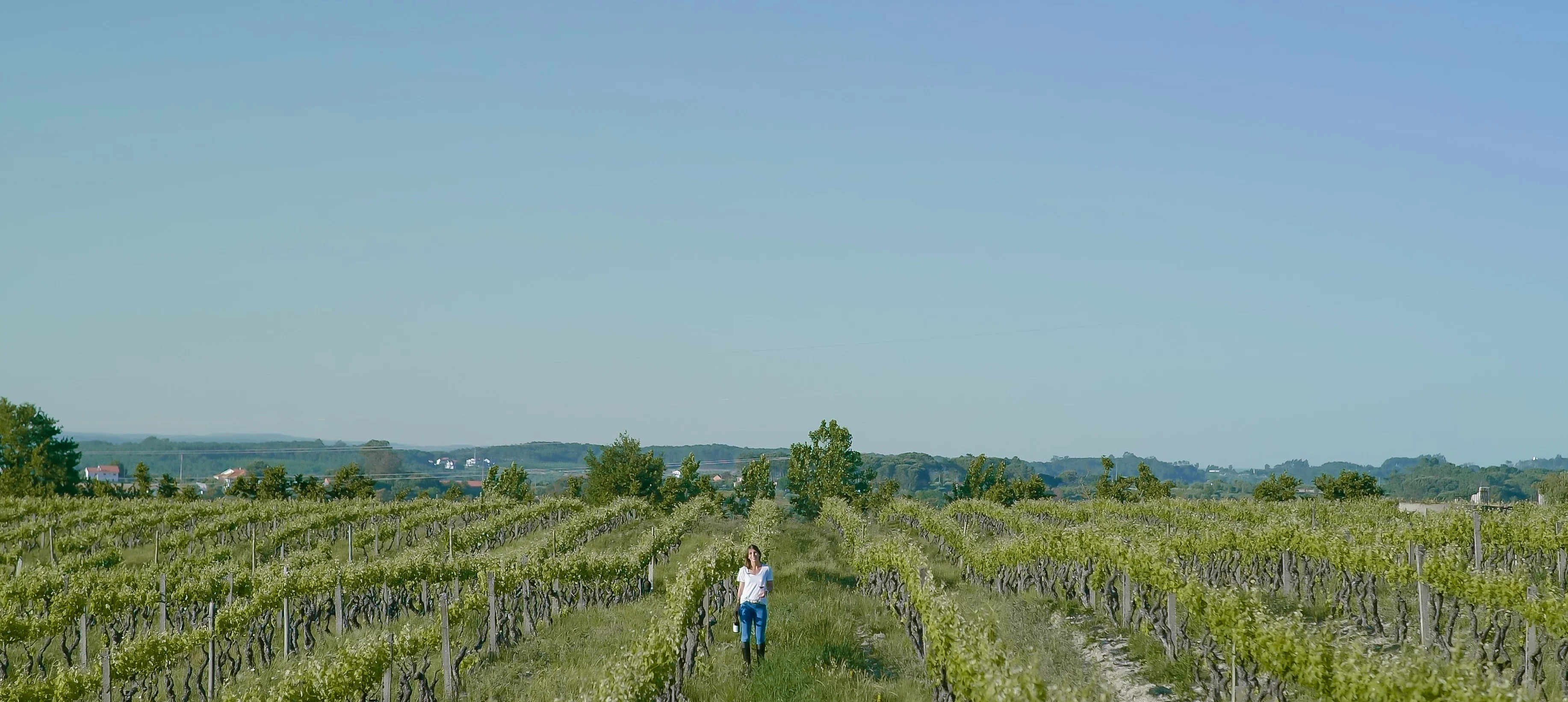 Caminhos Cruzados – Peddy Paper na Vinha