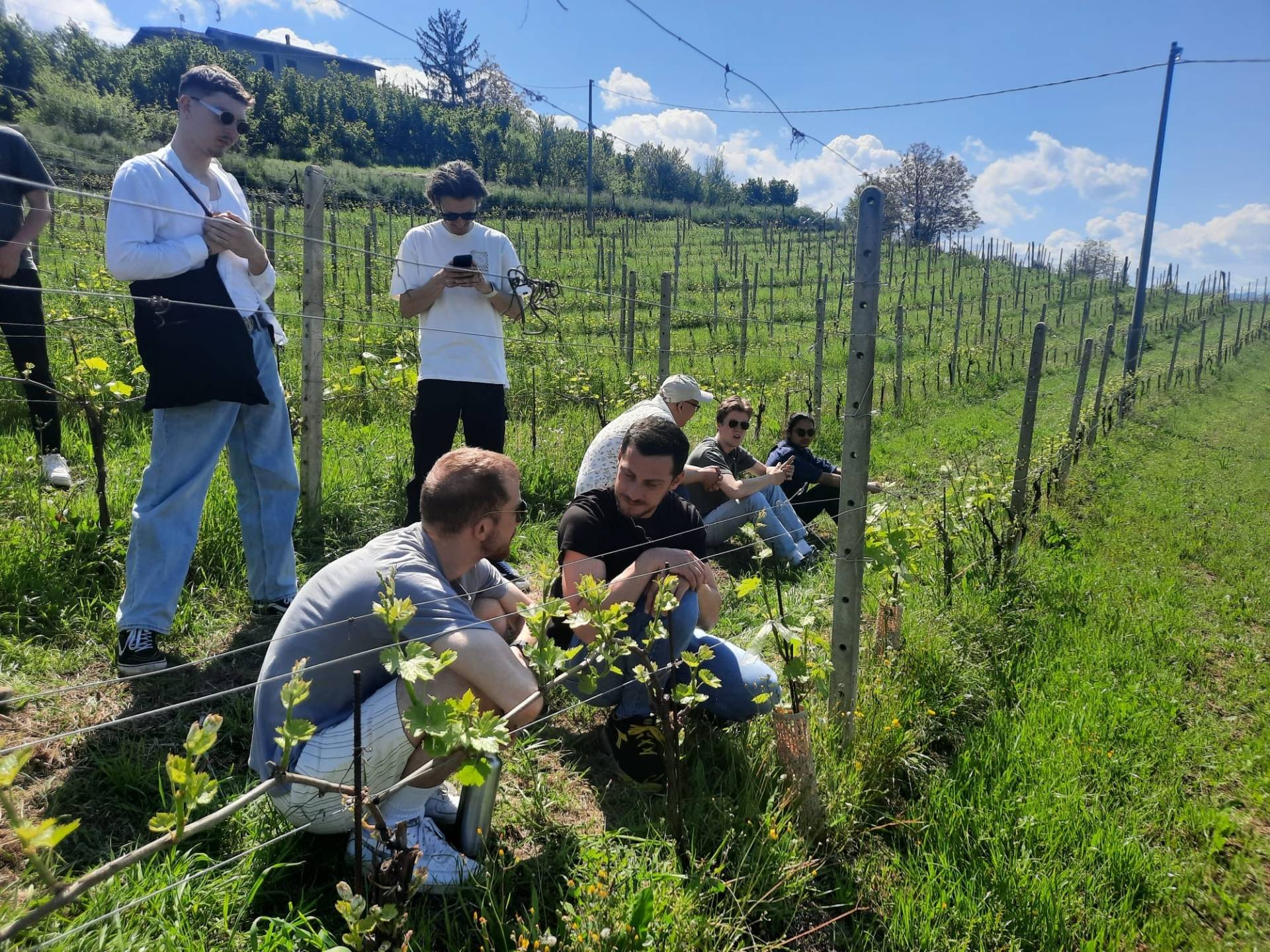 Wild Herbs Experience